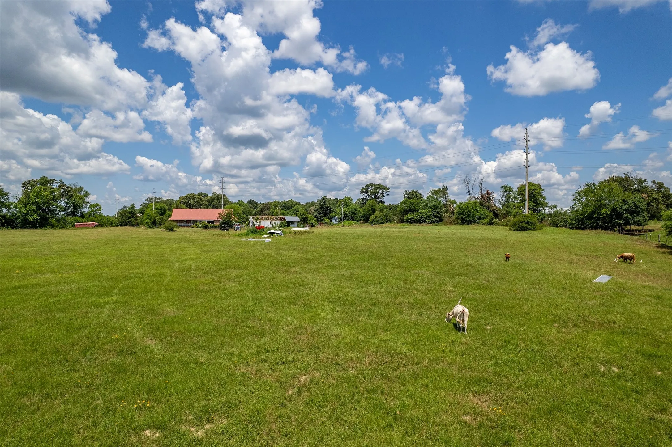 Single Family Residence For Sale in Wood County , 435 County Road 3204, Quitman, Texas 75783, 5 Bedroom, 4 Bathroom, Garage spaces, 2,807 Sqft, built in 1980, mls#21395998, Real Estate Agent in Quitman, Homes For Sale in Wood county, Homes For Sale in Quitman, Realtor in Quitman Texas, Real Estate Brokerage Independent Realty Texas, Luminita Cordes Realtor
