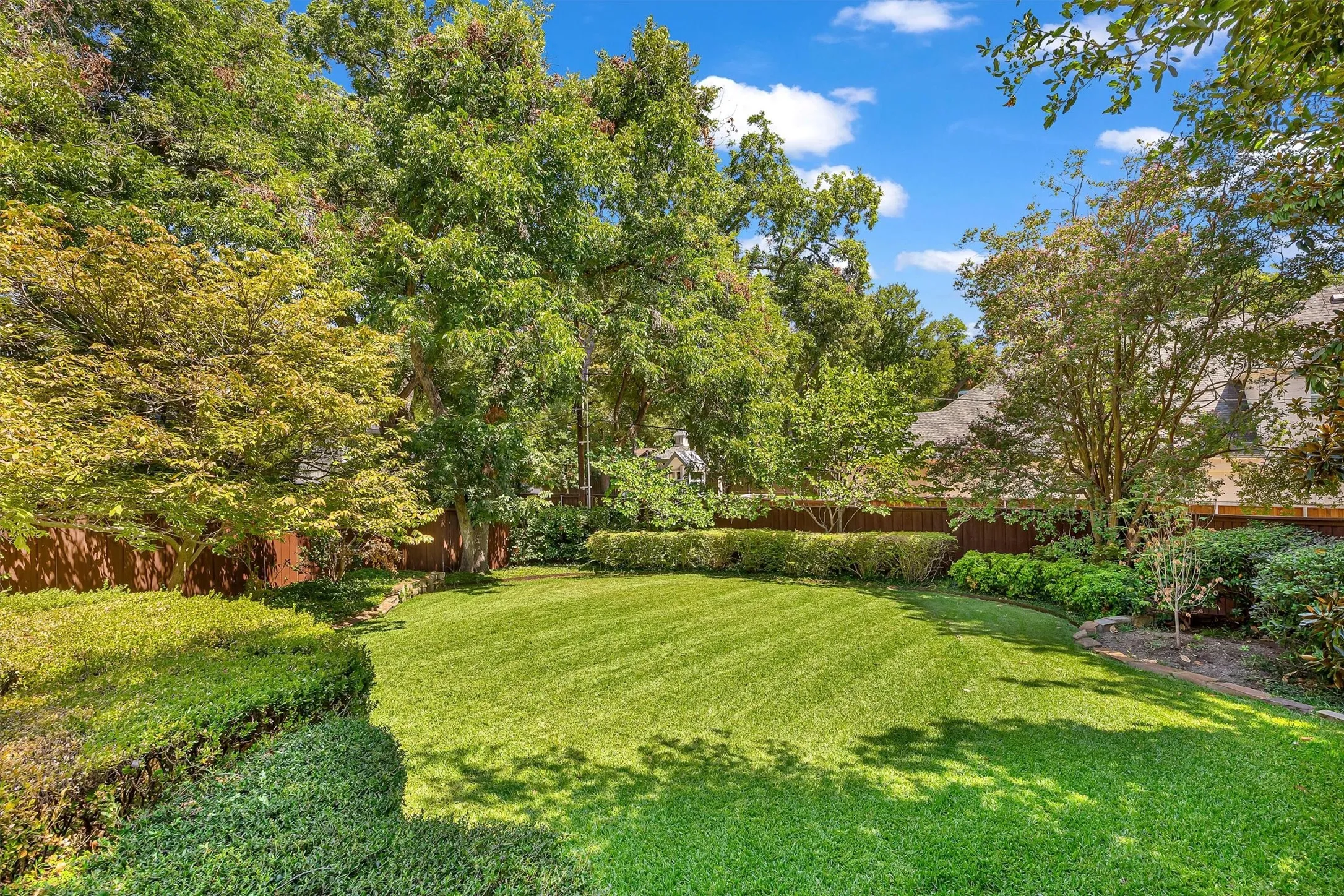 Expansive back yard