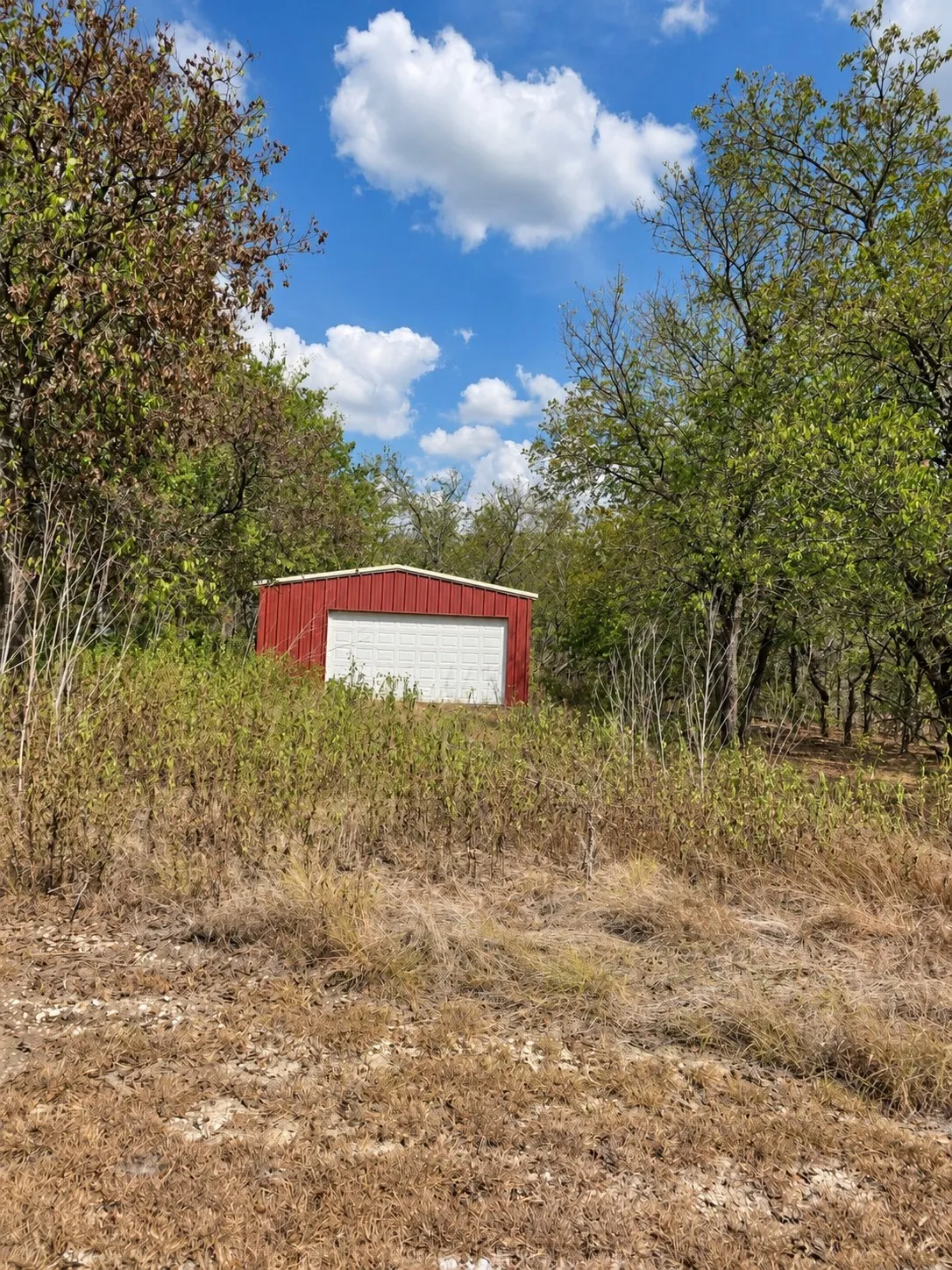 Red metal shed with a white garage door, surrounded by natural landscaping and mature trees
