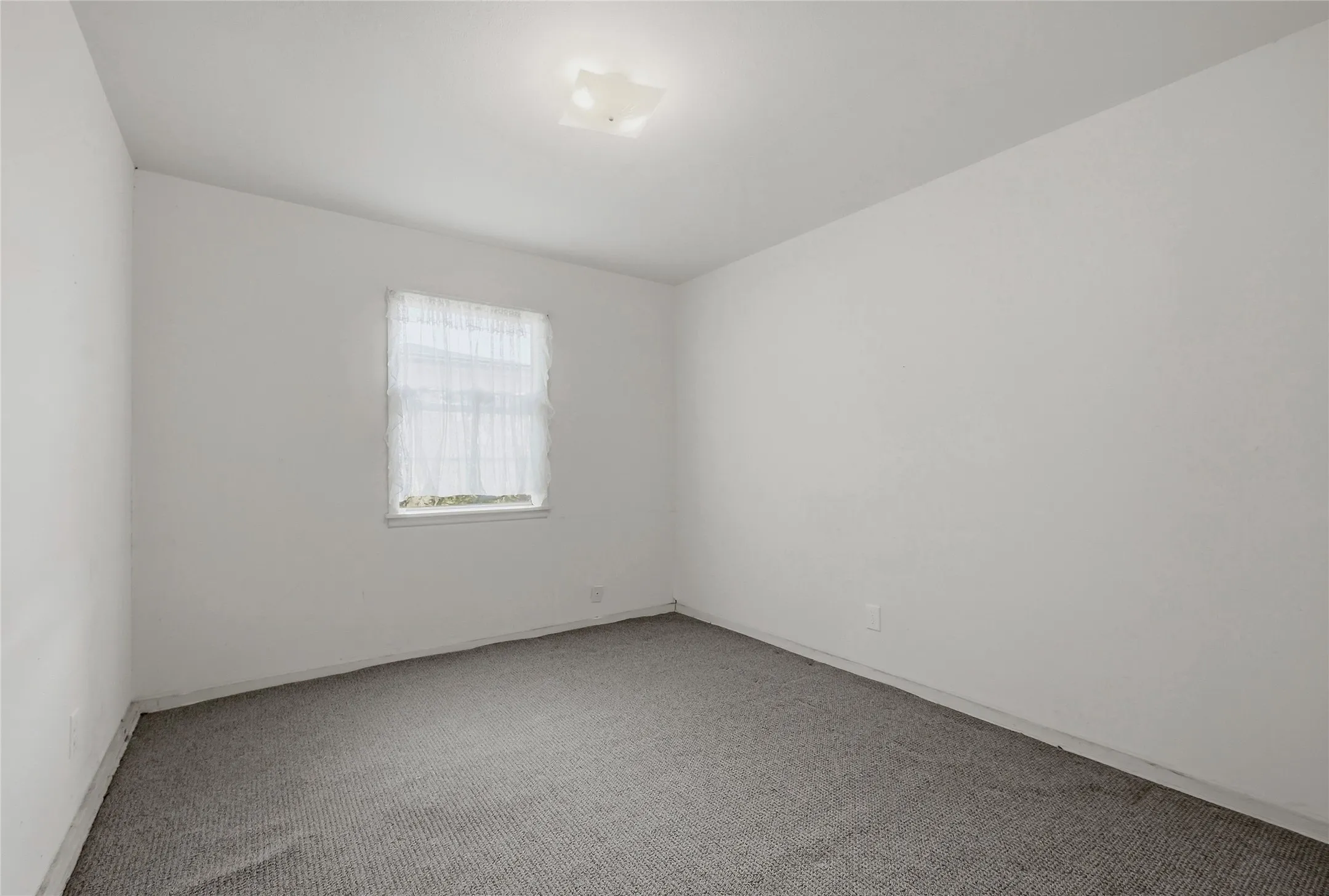 Carpet flooring, white walls, and a ceiling-mounted light fixture
