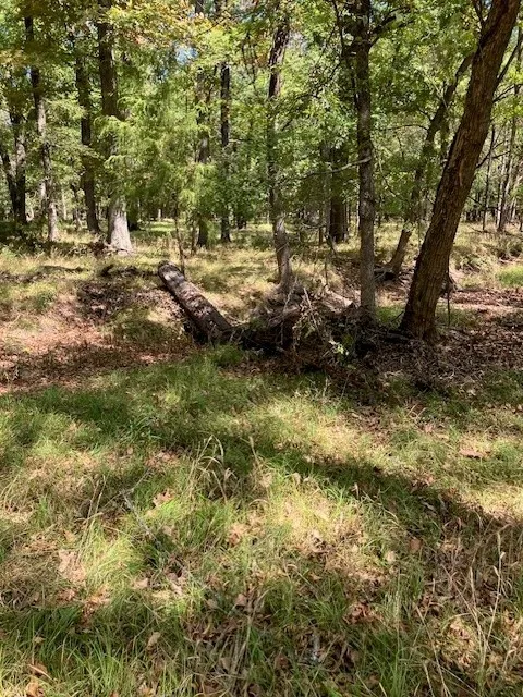 Unimproved Land For Sale in Lamar County , 00 CR 32220, Sumner, Texas 75486, 0, 0, Garage spaces, 0 Sqft, built in 0, mls#21396080, Real Estate Agent in Sumner, Homes For Sale in Lamar county, Homes For Sale in Sumner, Realtor in Sumner Texas, Real Estate Brokerage Independent Realty Texas, Luminita Cordes Realtor