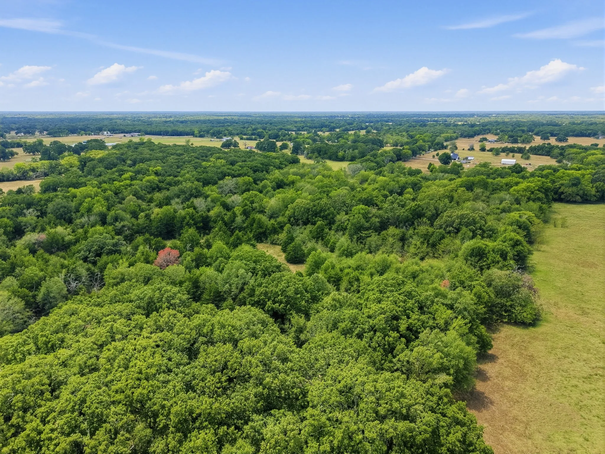 Unimproved Land For Sale in Hopkins County , TBD County Road 1153, Cumby, Texas 75433, 0, 0, Garage spaces, 0 Sqft, built in 0, mls#21396073, Real Estate Agent in Cumby, Homes For Sale in Hopkins county, Homes For Sale in Cumby, Realtor in Cumby Texas, Real Estate Brokerage Independent Realty Texas, Luminita Cordes Realtor