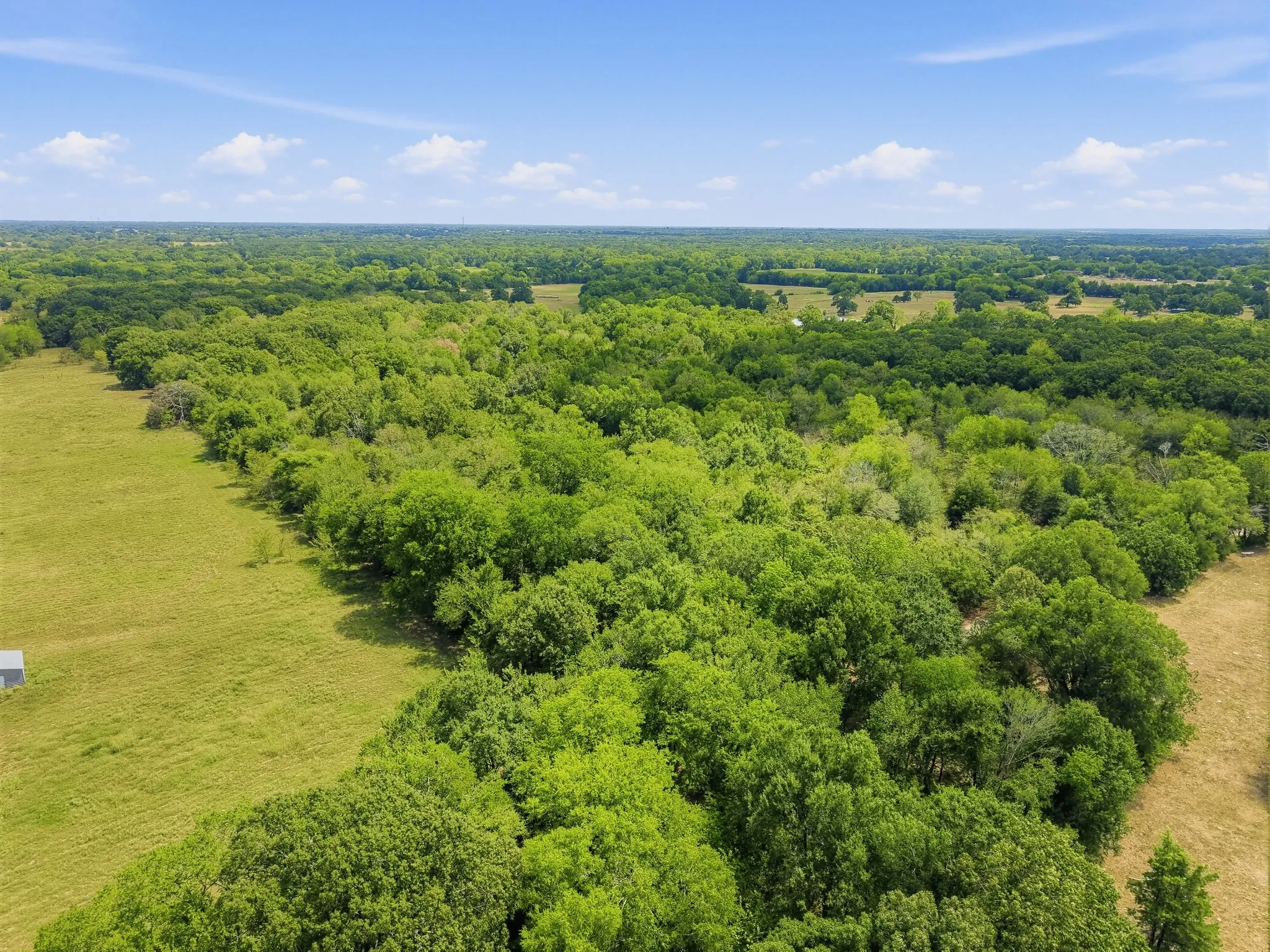 Unimproved Land For Sale in Hopkins County , TBD County Road 1153, Cumby, Texas 75433, 0, 0, Garage spaces, 0 Sqft, built in 0, mls#21396073, Real Estate Agent in Cumby, Homes For Sale in Hopkins county, Homes For Sale in Cumby, Realtor in Cumby Texas, Real Estate Brokerage Independent Realty Texas, Luminita Cordes Realtor