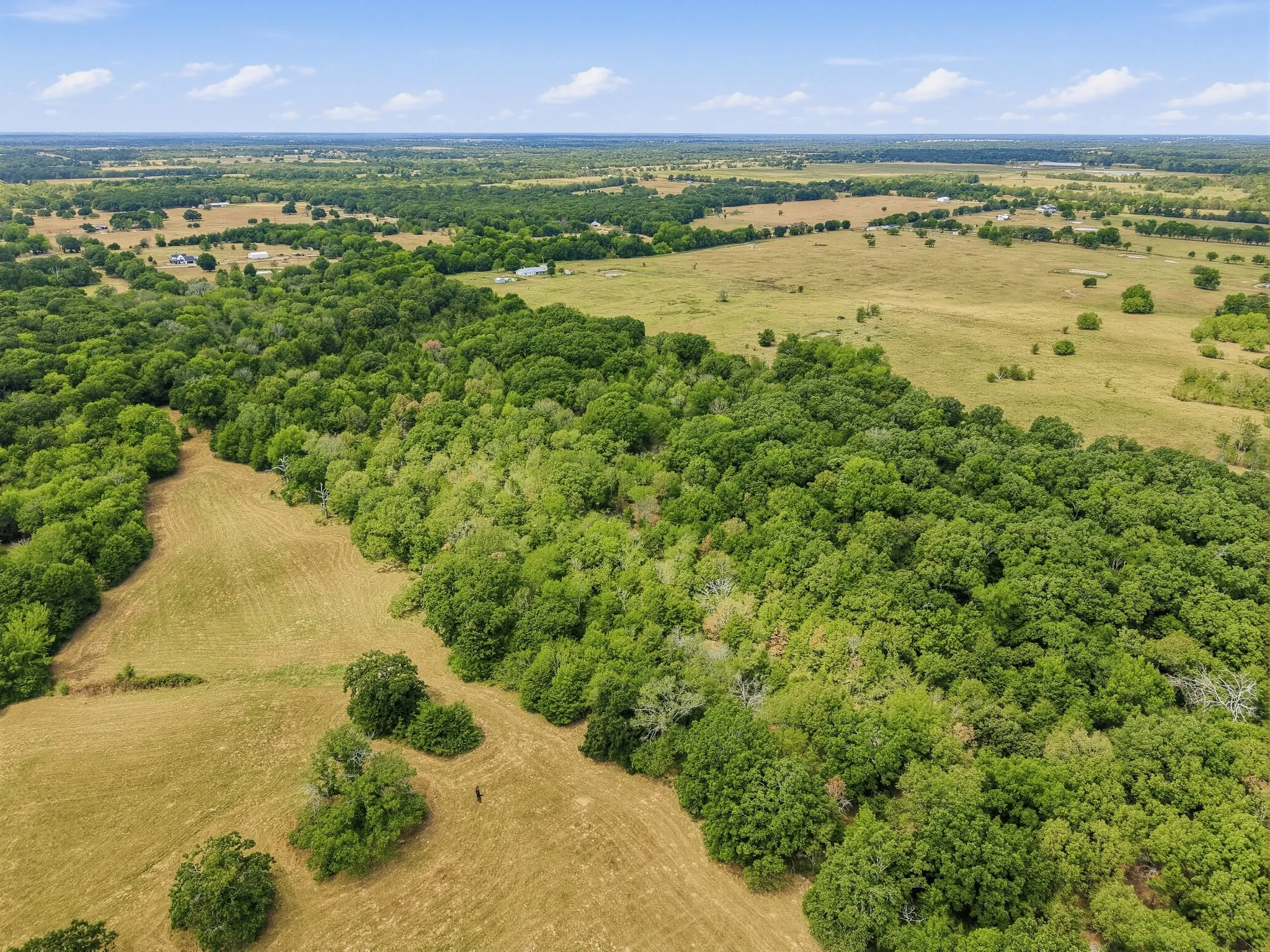 Unimproved Land For Sale in Hopkins County , TBD County Road 1153, Cumby, Texas 75433, 0, 0, Garage spaces, 0 Sqft, built in 0, mls#21396073, Real Estate Agent in Cumby, Homes For Sale in Hopkins county, Homes For Sale in Cumby, Realtor in Cumby Texas, Real Estate Brokerage Independent Realty Texas, Luminita Cordes Realtor