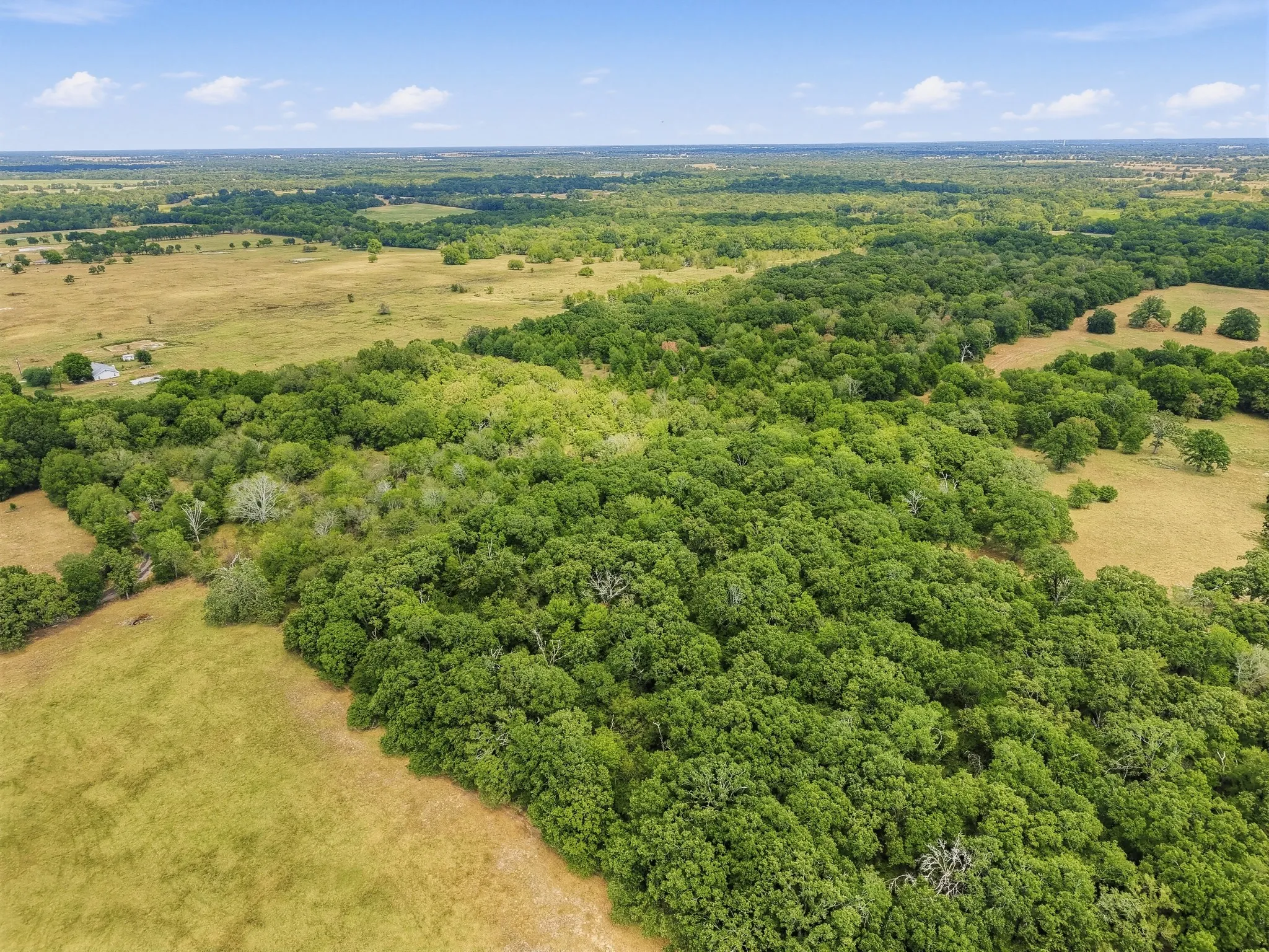 Unimproved Land For Sale in Hopkins County , TBD County Road 1153, Cumby, Texas 75433, 0, 0, Garage spaces, 0 Sqft, built in 0, mls#21396073, Real Estate Agent in Cumby, Homes For Sale in Hopkins county, Homes For Sale in Cumby, Realtor in Cumby Texas, Real Estate Brokerage Independent Realty Texas, Luminita Cordes Realtor