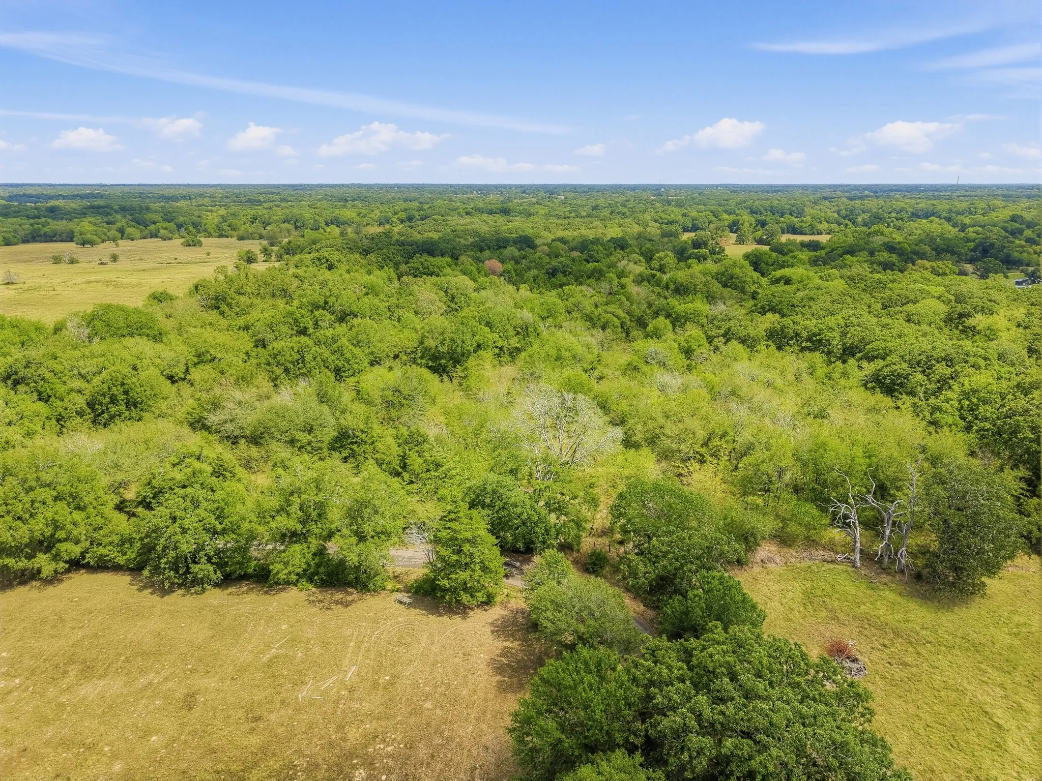 Unimproved Land For Sale in Hopkins County , TBD County Road 1153, Cumby, Texas 75433, 0, 0, Garage spaces, 0 Sqft, built in 0, mls#21396073, Real Estate Agent in Cumby, Homes For Sale in Hopkins county, Homes For Sale in Cumby, Realtor in Cumby Texas, Real Estate Brokerage Independent Realty Texas, Luminita Cordes Realtor
