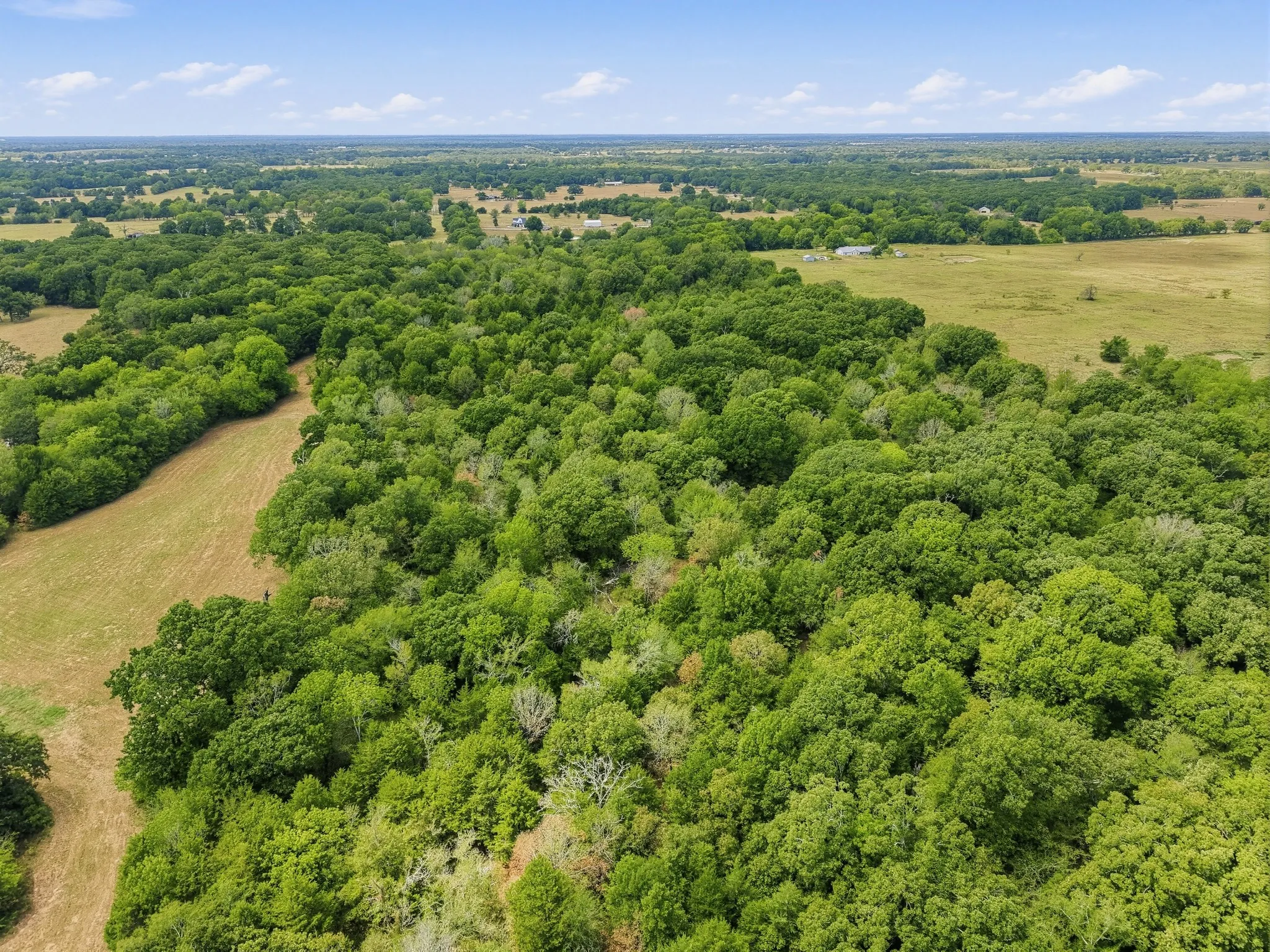 Unimproved Land For Sale in Hopkins County , TBD County Road 1153, Cumby, Texas 75433, 0, 0, Garage spaces, 0 Sqft, built in 0, mls#21396073, Real Estate Agent in Cumby, Homes For Sale in Hopkins county, Homes For Sale in Cumby, Realtor in Cumby Texas, Real Estate Brokerage Independent Realty Texas, Luminita Cordes Realtor