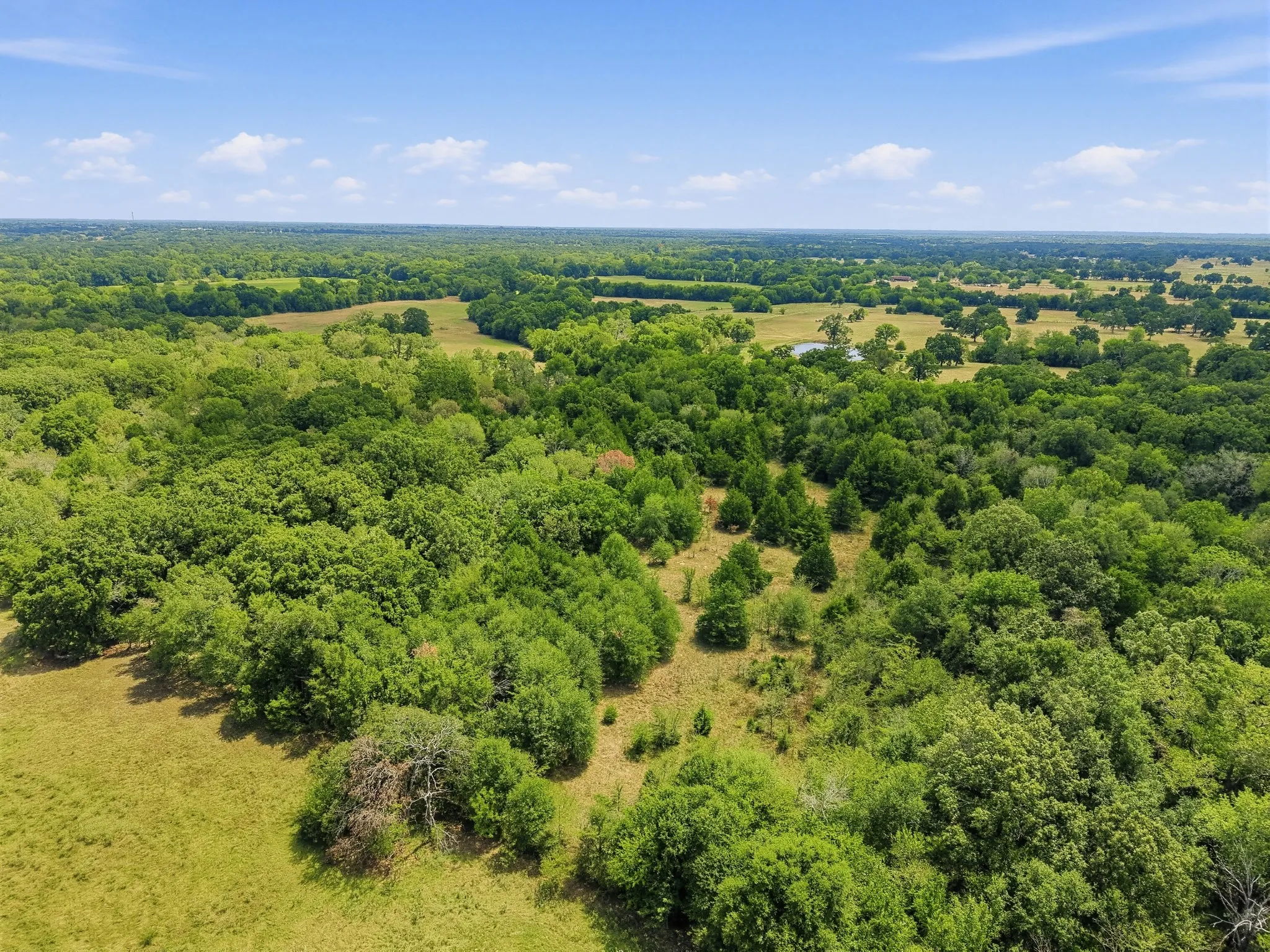 Unimproved Land For Sale in Hopkins County , TBD County Road 1153, Cumby, Texas 75433, 0, 0, Garage spaces, 0 Sqft, built in 0, mls#21396073, Real Estate Agent in Cumby, Homes For Sale in Hopkins county, Homes For Sale in Cumby, Realtor in Cumby Texas, Real Estate Brokerage Independent Realty Texas, Luminita Cordes Realtor
