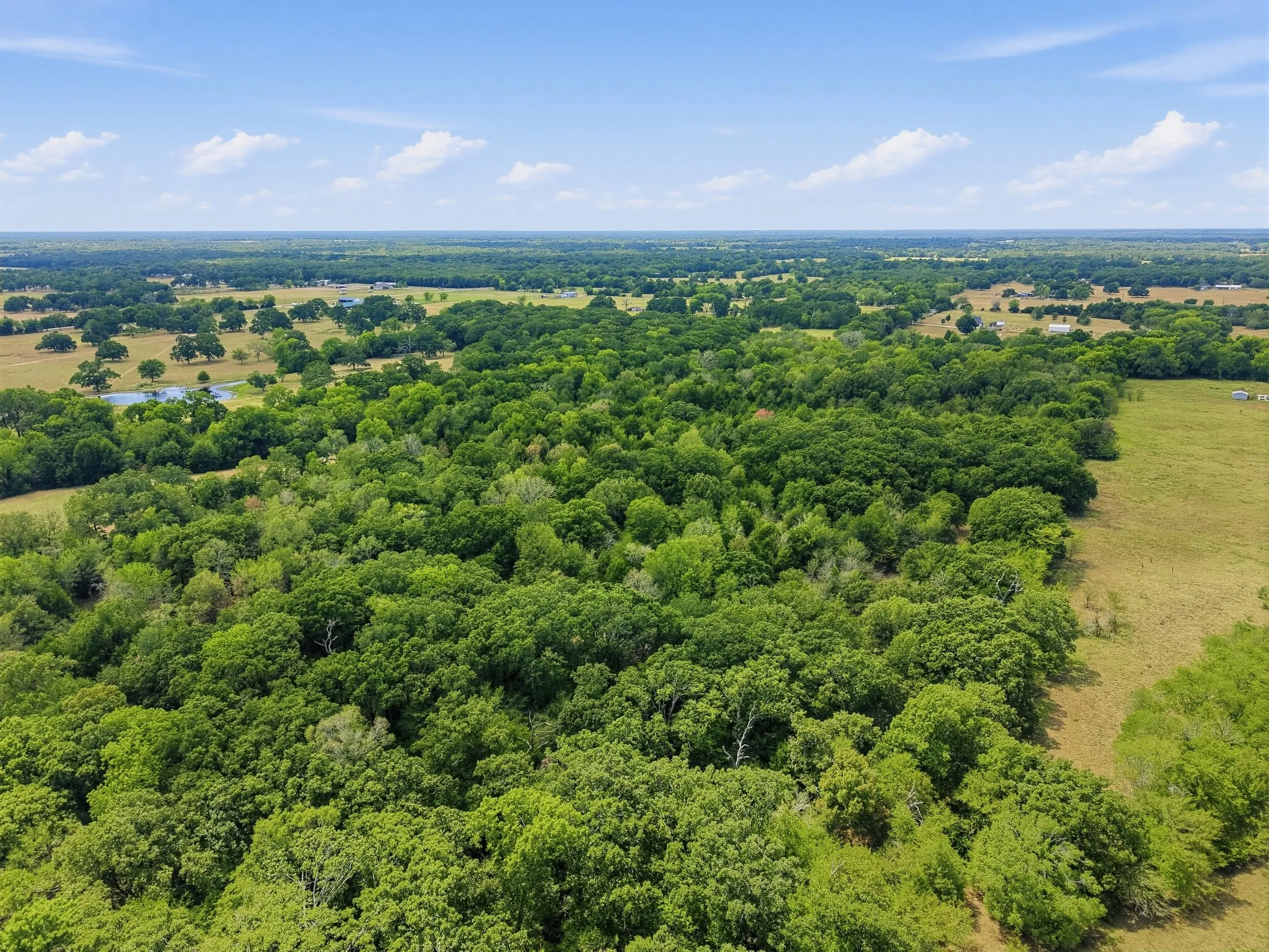 Unimproved Land For Sale in Hopkins County , TBD County Road 1153, Cumby, Texas 75433, 0, 0, Garage spaces, 0 Sqft, built in 0, mls#21396073, Real Estate Agent in Cumby, Homes For Sale in Hopkins county, Homes For Sale in Cumby, Realtor in Cumby Texas, Real Estate Brokerage Independent Realty Texas, Luminita Cordes Realtor