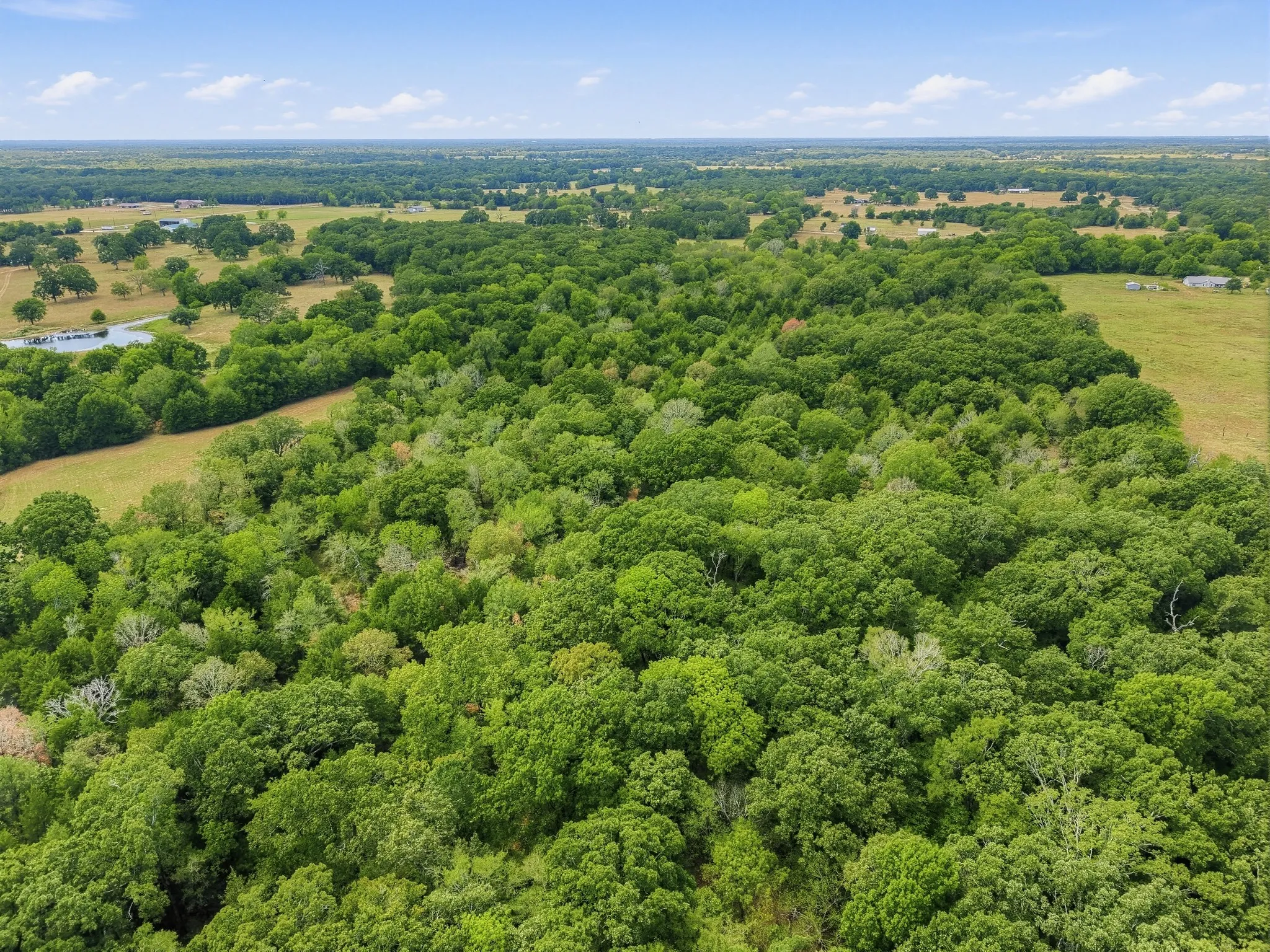 Unimproved Land For Sale in Hopkins County , TBD County Road 1153, Cumby, Texas 75433, 0, 0, Garage spaces, 0 Sqft, built in 0, mls#21396073, Real Estate Agent in Cumby, Homes For Sale in Hopkins county, Homes For Sale in Cumby, Realtor in Cumby Texas, Real Estate Brokerage Independent Realty Texas, Luminita Cordes Realtor