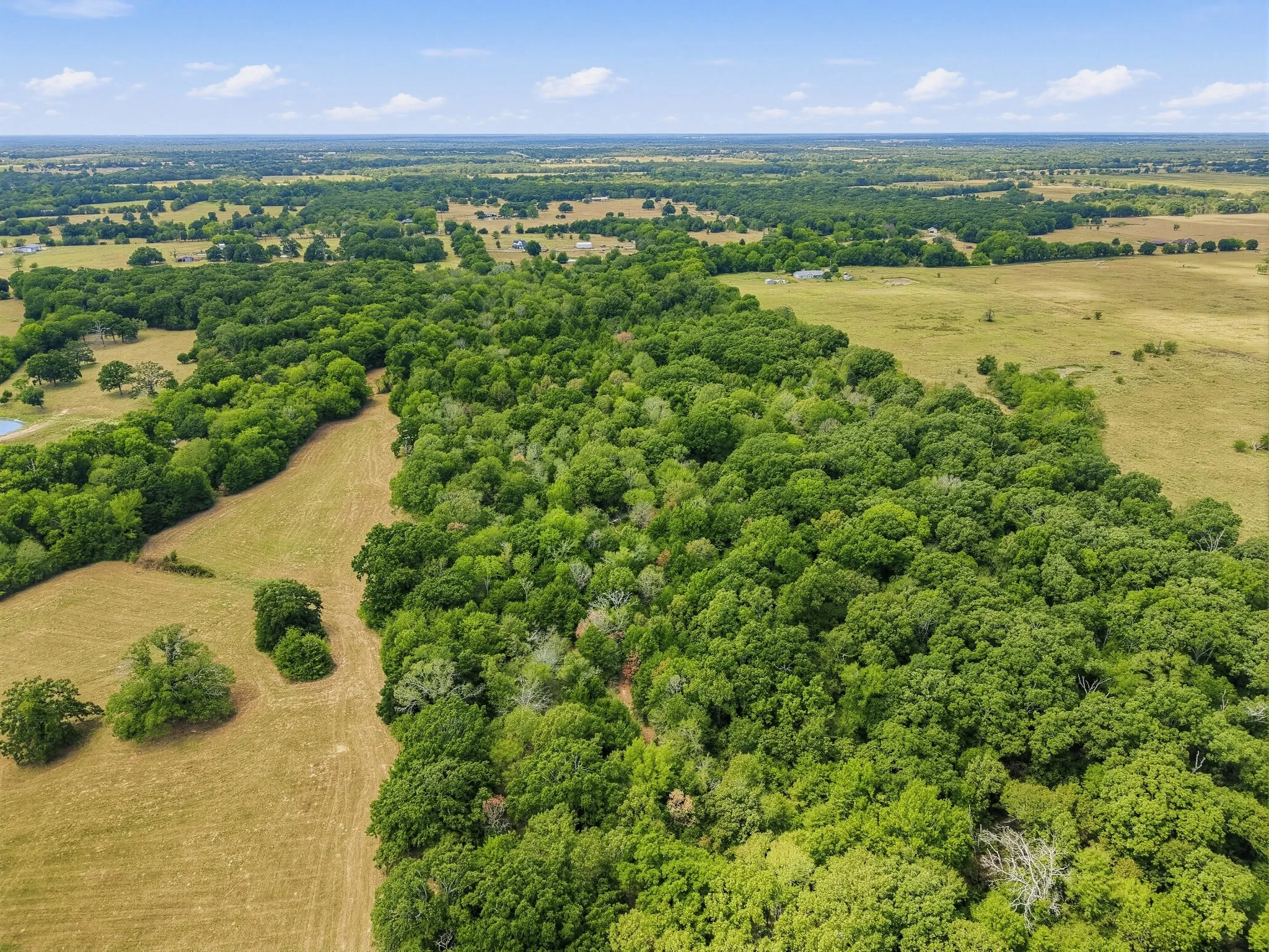 Unimproved Land For Sale in Hopkins County , TBD County Road 1153, Cumby, Texas 75433, 0, 0, Garage spaces, 0 Sqft, built in 0, mls#21396073, Real Estate Agent in Cumby, Homes For Sale in Hopkins county, Homes For Sale in Cumby, Realtor in Cumby Texas, Real Estate Brokerage Independent Realty Texas, Luminita Cordes Realtor