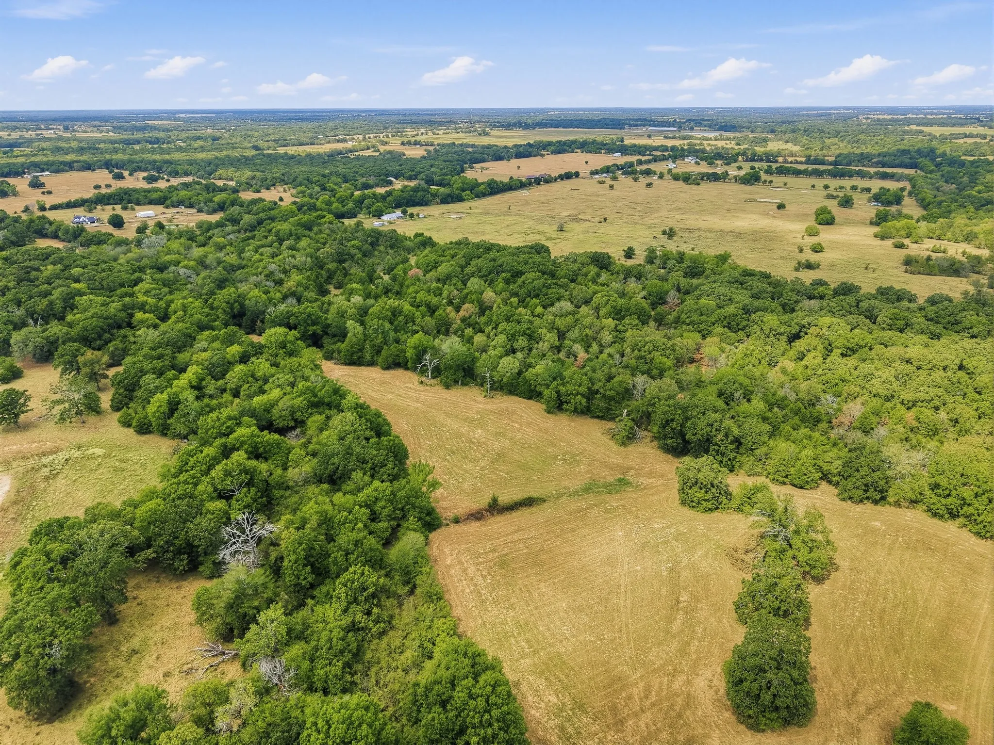 Unimproved Land For Sale in Hopkins County , TBD County Road 1153, Cumby, Texas 75433, 0, 0, Garage spaces, 0 Sqft, built in 0, mls#21396073, Real Estate Agent in Cumby, Homes For Sale in Hopkins county, Homes For Sale in Cumby, Realtor in Cumby Texas, Real Estate Brokerage Independent Realty Texas, Luminita Cordes Realtor