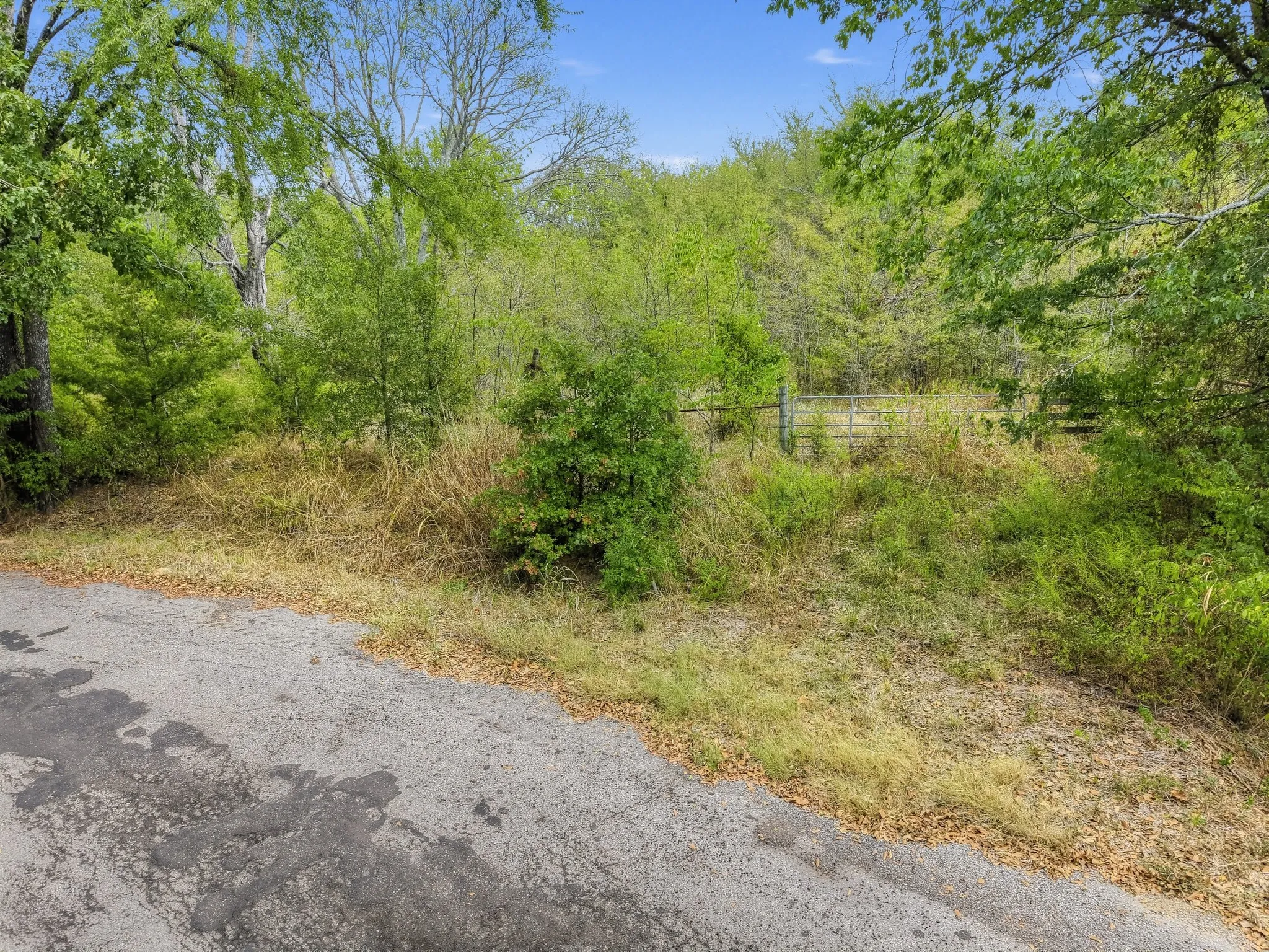 Unimproved Land For Sale in Hopkins County , TBD County Road 1153, Cumby, Texas 75433, 0, 0, Garage spaces, 0 Sqft, built in 0, mls#21396073, Real Estate Agent in Cumby, Homes For Sale in Hopkins county, Homes For Sale in Cumby, Realtor in Cumby Texas, Real Estate Brokerage Independent Realty Texas, Luminita Cordes Realtor