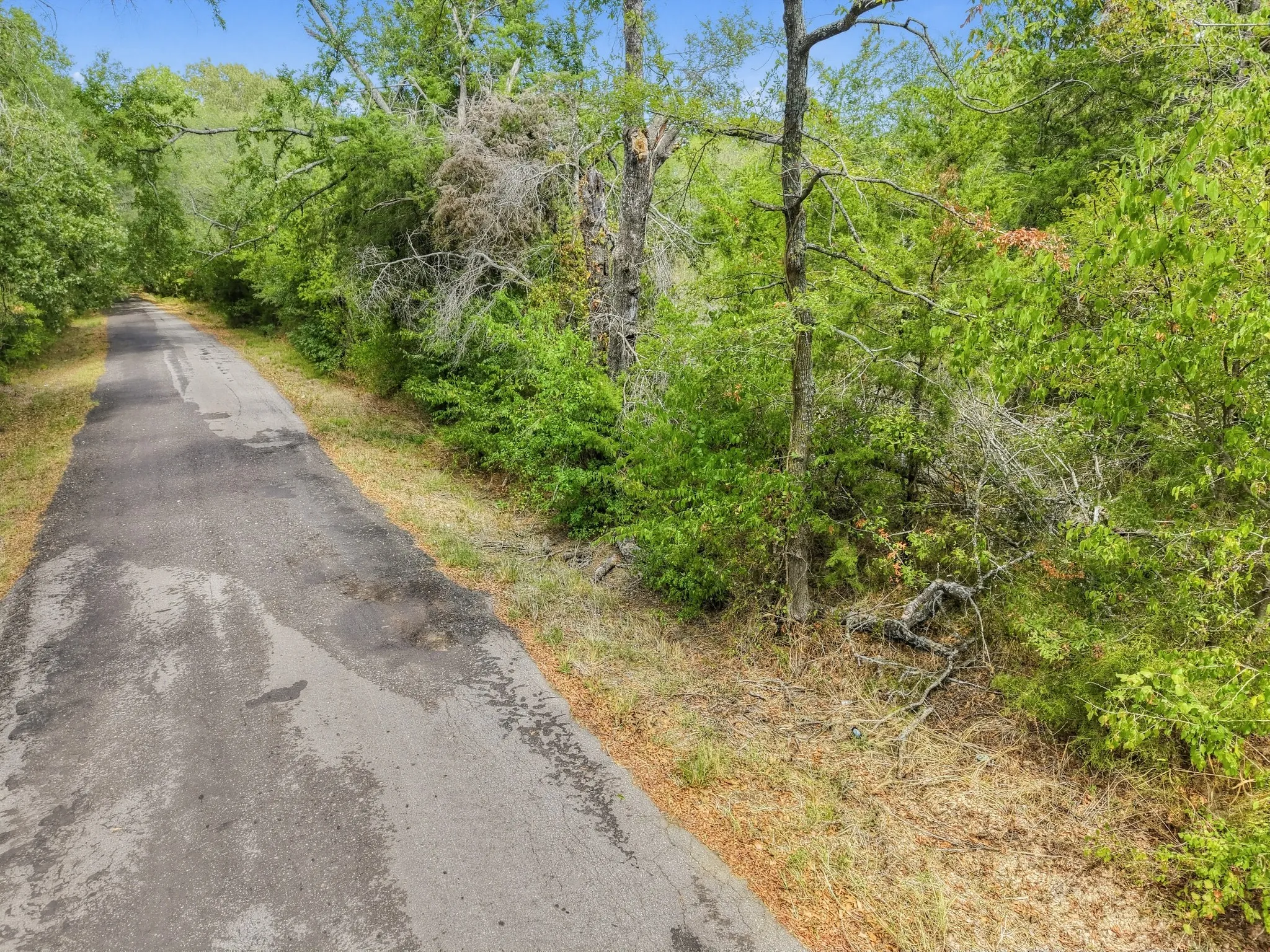 Unimproved Land For Sale in Hopkins County , TBD County Road 1153, Cumby, Texas 75433, 0, 0, Garage spaces, 0 Sqft, built in 0, mls#21396073, Real Estate Agent in Cumby, Homes For Sale in Hopkins county, Homes For Sale in Cumby, Realtor in Cumby Texas, Real Estate Brokerage Independent Realty Texas, Luminita Cordes Realtor