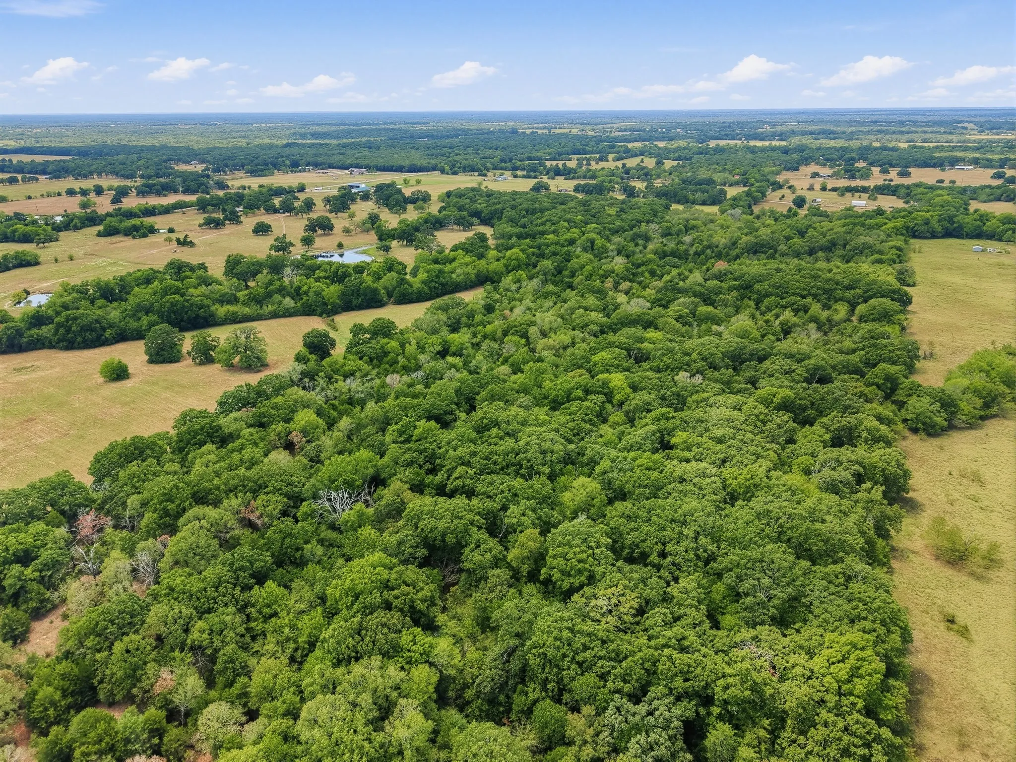 Unimproved Land For Sale in Hopkins County , TBD County Road 1153, Cumby, Texas 75433, 0, 0, Garage spaces, 0 Sqft, built in 0, mls#21396073, Real Estate Agent in Cumby, Homes For Sale in Hopkins county, Homes For Sale in Cumby, Realtor in Cumby Texas, Real Estate Brokerage Independent Realty Texas, Luminita Cordes Realtor