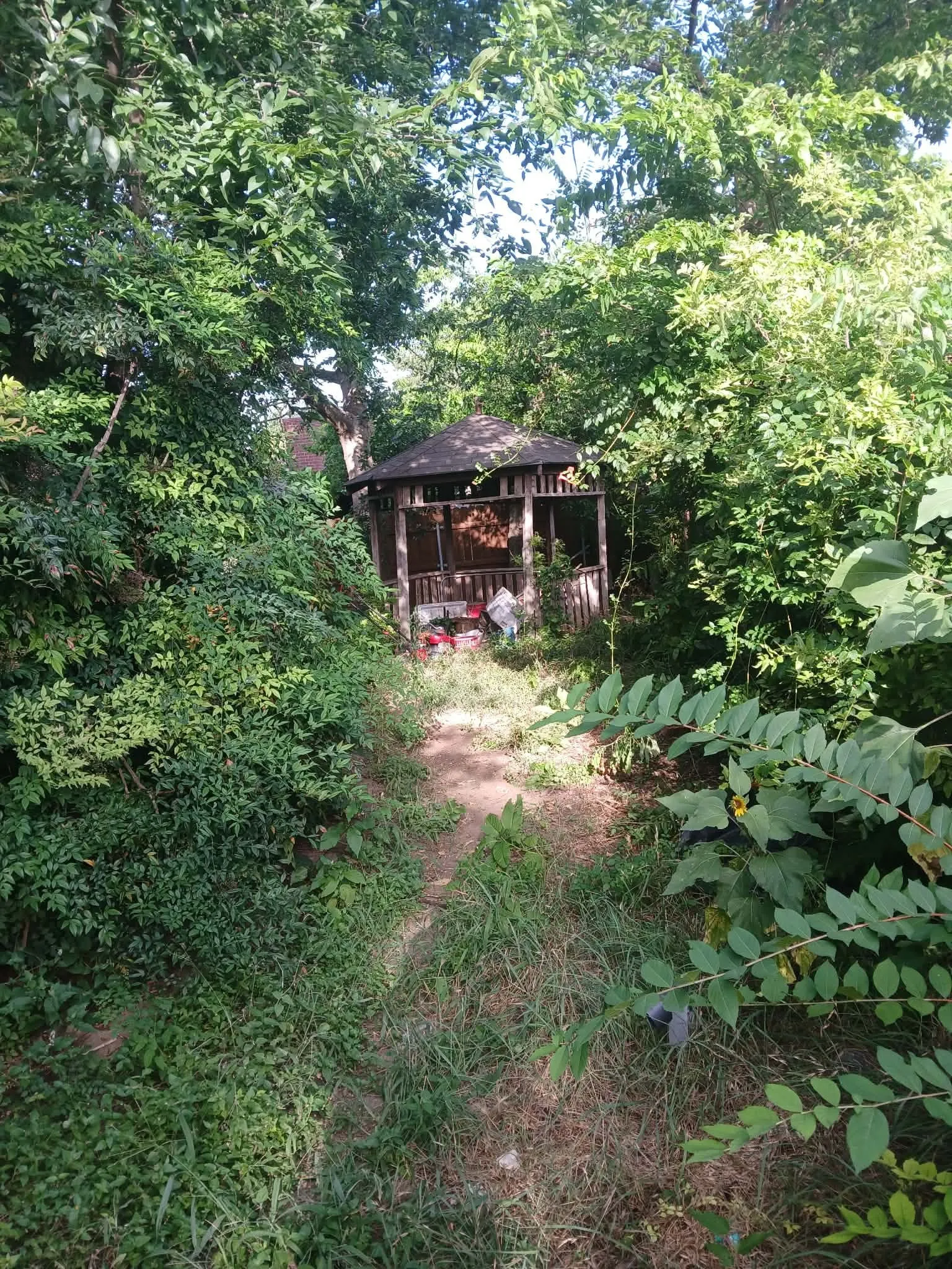 Backyard