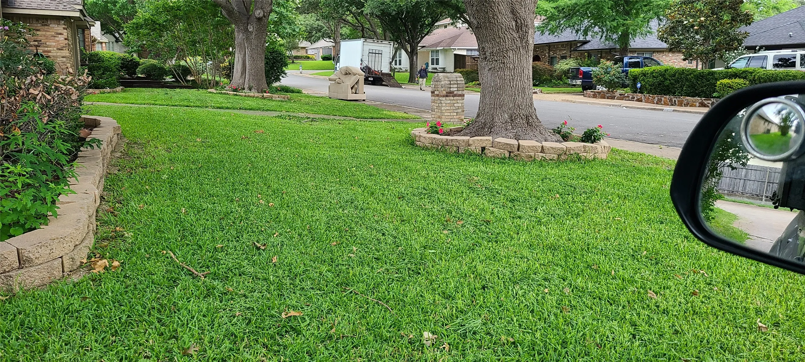 Beautiful front yard in a fantastic residential neighborhood