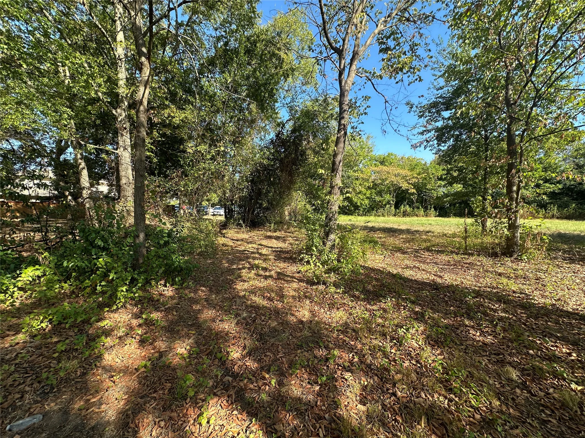 Unimproved Land For Sale in Hopkins County , 0000 Oak Avenue, Sulphur Springs, Texas 75482, 0, 0, Garage spaces, 0 Sqft, built in 0, mls#21393600, Real Estate Agent in Sulphur Springs, Homes For Sale in Hopkins county, Homes For Sale in Sulphur Springs, Realtor in Sulphur Springs Texas, Real Estate Brokerage Independent Realty Texas, Luminita Cordes Realtor