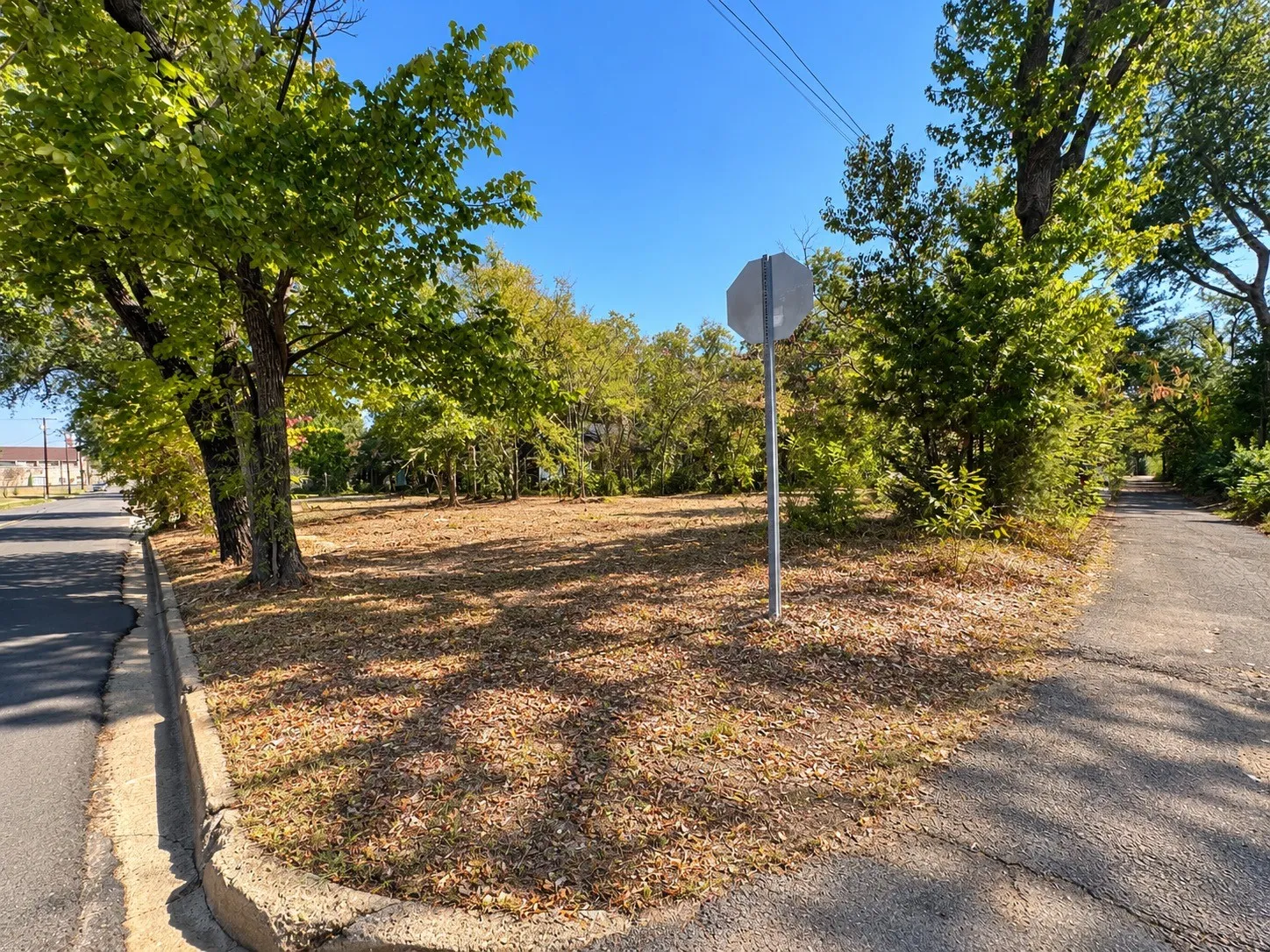 Unimproved Land For Sale in Hopkins County , 0000 Oak Avenue, Sulphur Springs, Texas 75482, 0, 0, Garage spaces, 0 Sqft, built in 0, mls#21393600, Real Estate Agent in Sulphur Springs, Homes For Sale in Hopkins county, Homes For Sale in Sulphur Springs, Realtor in Sulphur Springs Texas, Real Estate Brokerage Independent Realty Texas, Luminita Cordes Realtor