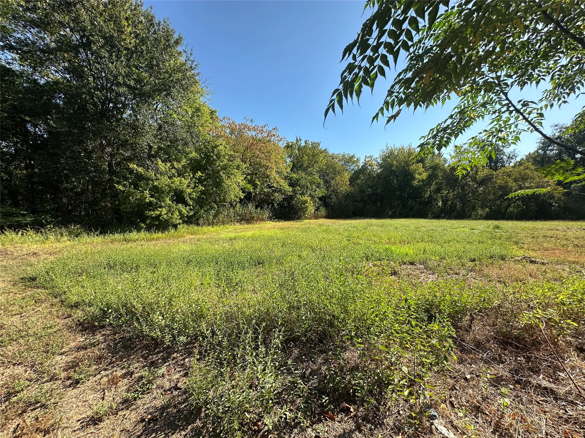 Unimproved Land For Sale in Hopkins County , 0000 Oak Avenue, Sulphur Springs, Texas 75482, 0, 0, Garage spaces, 0 Sqft, built in 0, mls#21393600, Real Estate Agent in Sulphur Springs, Homes For Sale in Hopkins county, Homes For Sale in Sulphur Springs, Realtor in Sulphur Springs Texas, Real Estate Brokerage Independent Realty Texas, Luminita Cordes Realtor