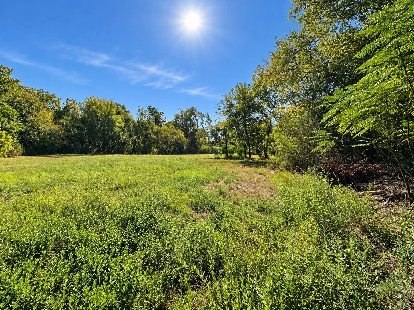 Unimproved Land For Sale in Hopkins County , 0000 Oak Avenue, Sulphur Springs, Texas 75482, 0, 0, Garage spaces, 0 Sqft, built in 0, mls#21393600, Real Estate Agent in Sulphur Springs, Homes For Sale in Hopkins county, Homes For Sale in Sulphur Springs, Realtor in Sulphur Springs Texas, Real Estate Brokerage Independent Realty Texas, Luminita Cordes Realtor