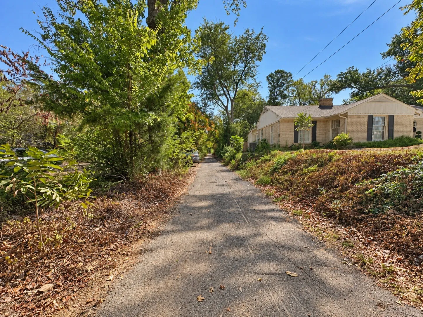 Maxwell Street Frontage