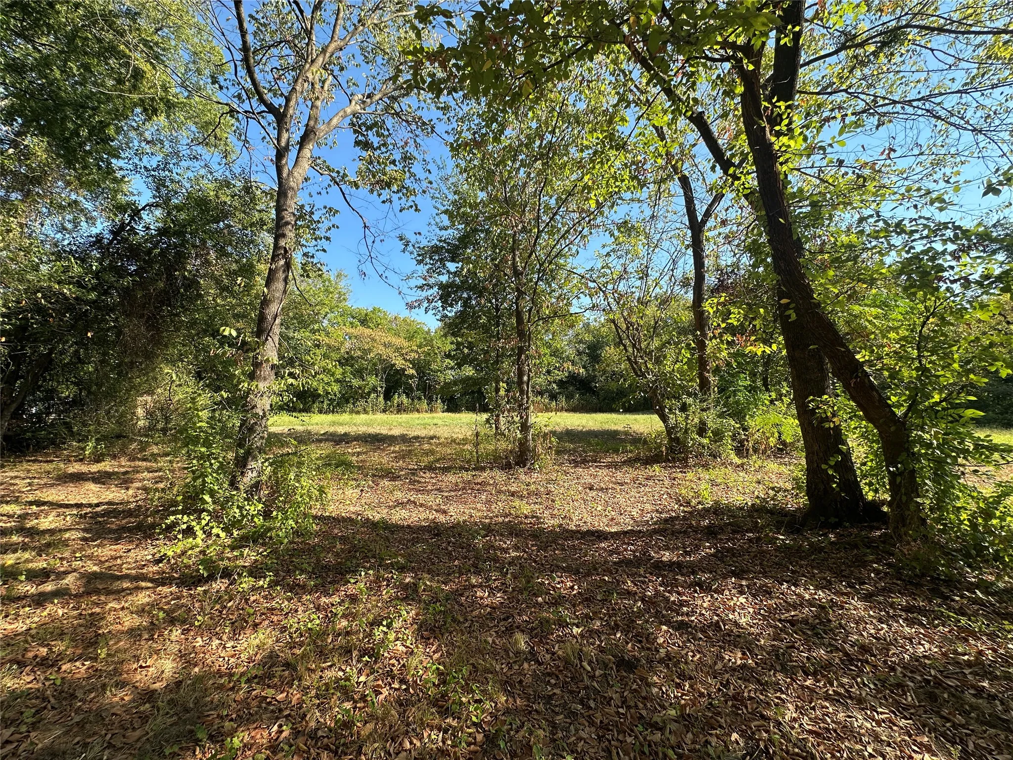 Unimproved Land For Sale in Hopkins County , 0000 Oak Avenue, Sulphur Springs, Texas 75482, 0, 0, Garage spaces, 0 Sqft, built in 0, mls#21393600, Real Estate Agent in Sulphur Springs, Homes For Sale in Hopkins county, Homes For Sale in Sulphur Springs, Realtor in Sulphur Springs Texas, Real Estate Brokerage Independent Realty Texas, Luminita Cordes Realtor