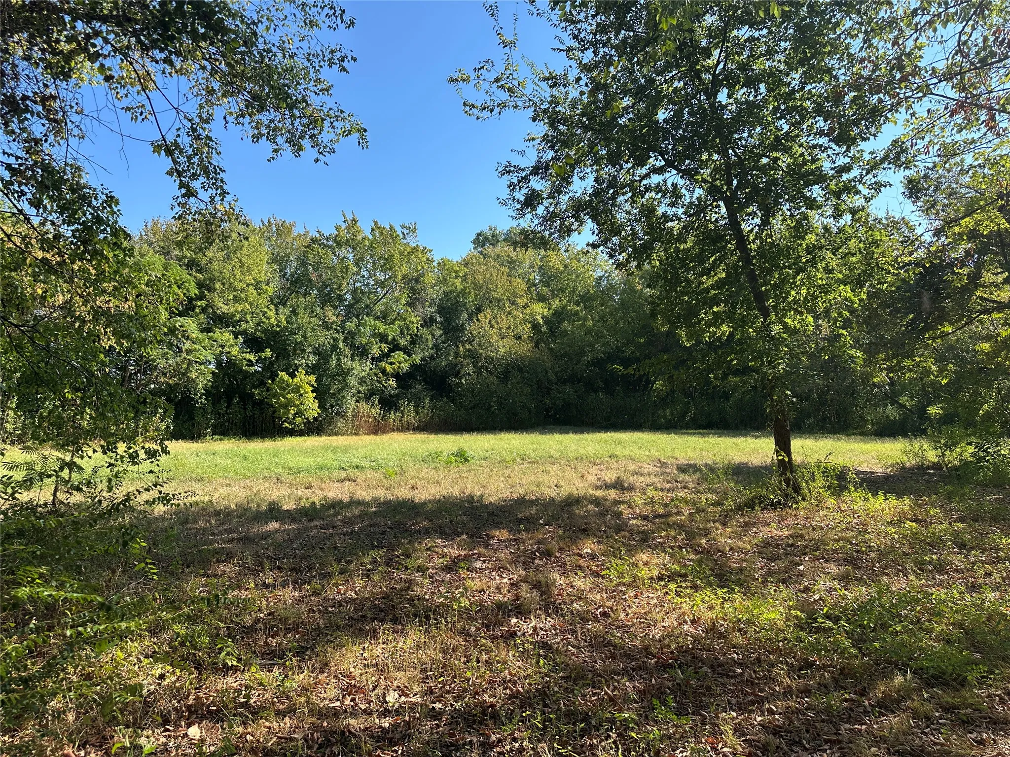 Unimproved Land For Sale in Hopkins County , 0000 Oak Avenue, Sulphur Springs, Texas 75482, 0, 0, Garage spaces, 0 Sqft, built in 0, mls#21393600, Real Estate Agent in Sulphur Springs, Homes For Sale in Hopkins county, Homes For Sale in Sulphur Springs, Realtor in Sulphur Springs Texas, Real Estate Brokerage Independent Realty Texas, Luminita Cordes Realtor