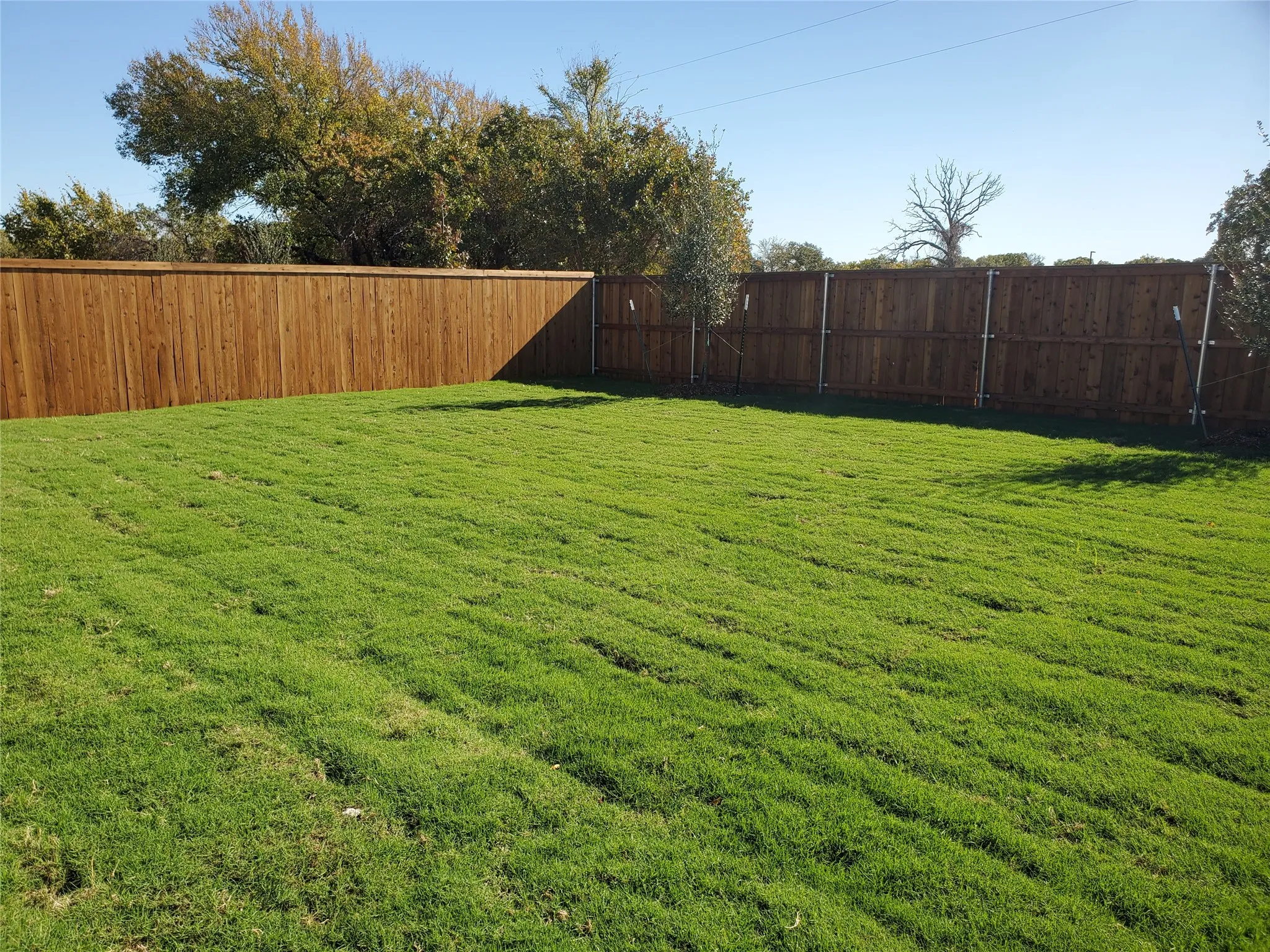 Single Family Residence For Rent in Denton County , 11000 Triple Crown Court, Providence Village, Texas 76227, 3 Bedroom, 2 Bathroom, 2 Garage spaces, 1,479 Sqft, built in 2024, mls#21396180, Real Estate Agent in Providence Village, Homes For Rent in Denton county, Homes For Rent in Providence Village, Realtor in Providence Village Texas, Real Estate Brokerage Independent Realty Texas, Luminita Cordes Realtor