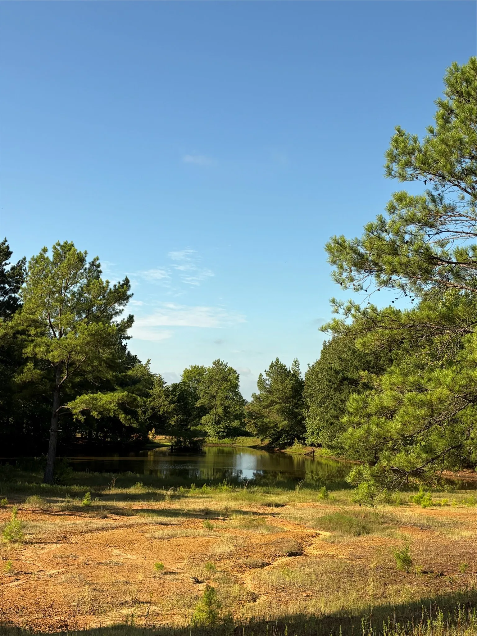 Improved Land For Sale in Harrison County , 8965 N Us HWY 59, Woodlawn, Texas 75670, 0, 0, Garage spaces, 0 Sqft, built in 0, mls#21396207, Real Estate Agent in Woodlawn, Homes For Sale in Harrison county, Homes For Sale in Woodlawn, Realtor in Woodlawn Texas, Real Estate Brokerage Independent Realty Texas, Luminita Cordes Realtor