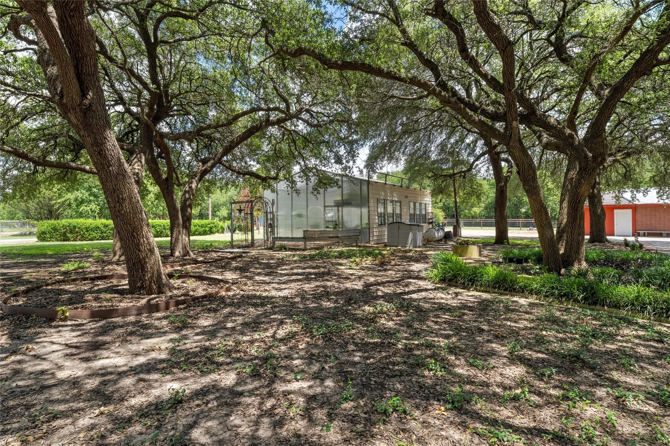 Mature trees providing extensive shade, a well-defined garden bed with low-lying greenery, a glass-paneled structure, and a red-toned building with a white door