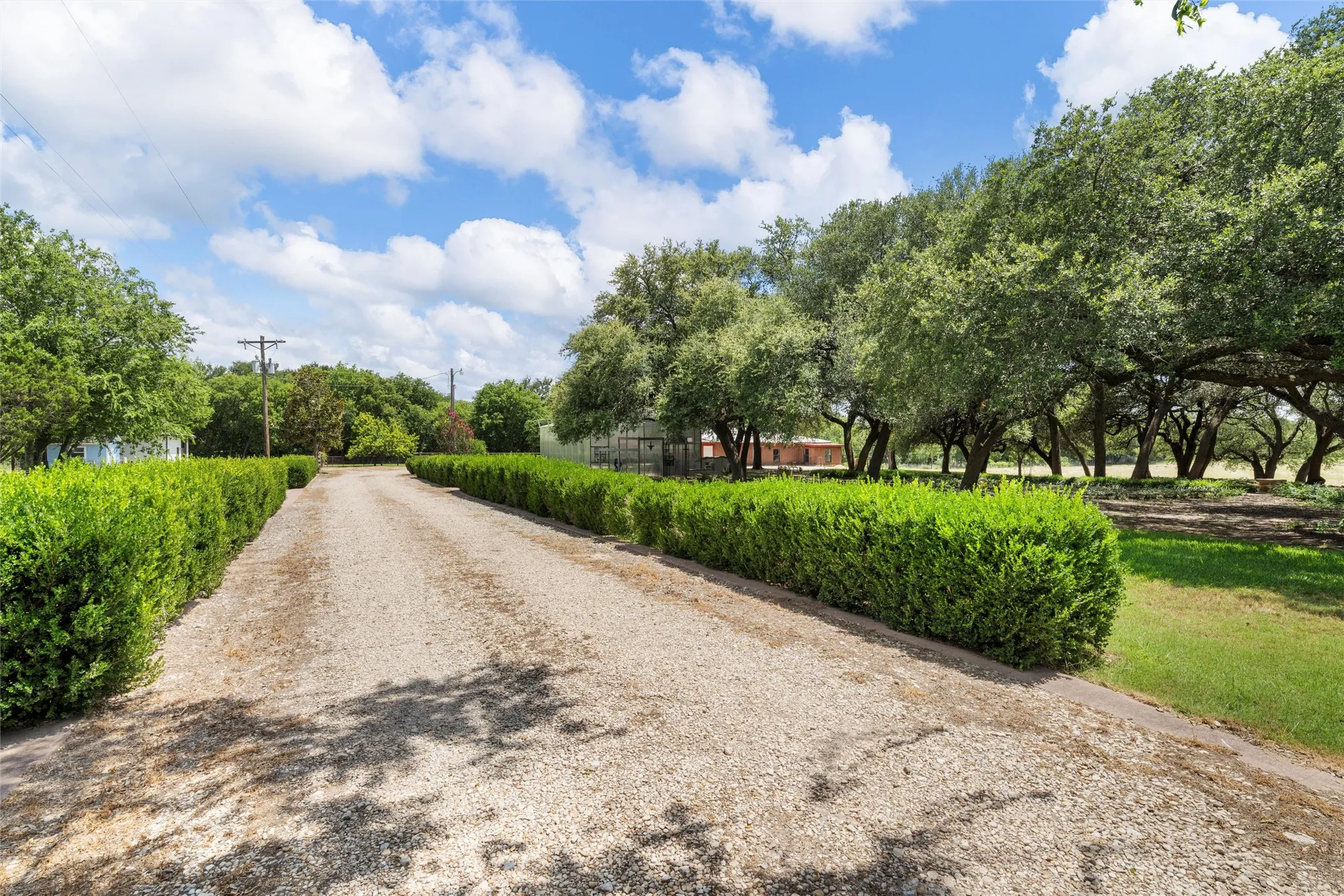 Gravel driveway flanked by manicured shrubbery, expansive lawn, and mature trees