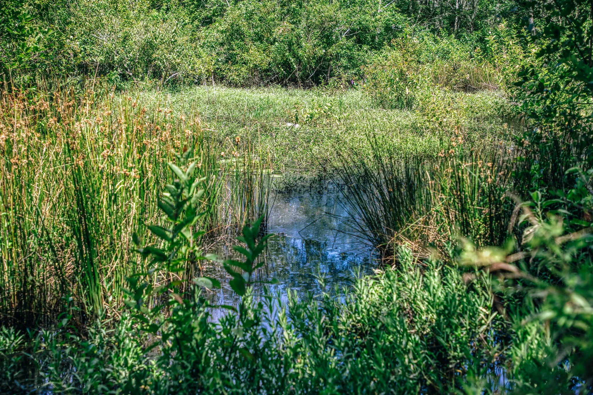 Improved Land For Sale in Limestone County , 00 FM 39, Mexia, Texas 76667, 0, 0, Garage spaces, 0 Sqft, built in 0, mls#21396239, Real Estate Agent in Mexia, Homes For Sale in Limestone county, Homes For Sale in Mexia, Realtor in Mexia Texas, Real Estate Brokerage Independent Realty Texas, Luminita Cordes Realtor