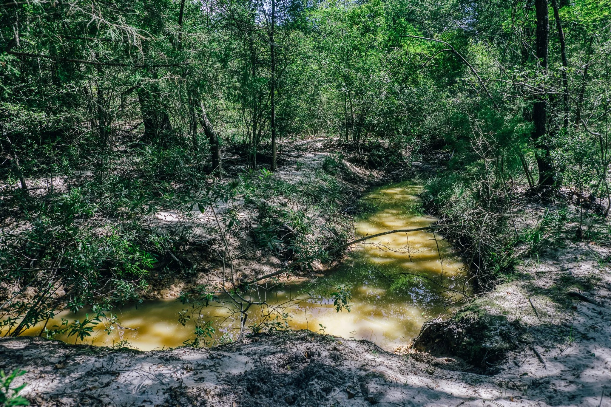 Improved Land For Sale in Limestone County , 00 FM 39, Mexia, Texas 76667, 0, 0, Garage spaces, 0 Sqft, built in 0, mls#21396239, Real Estate Agent in Mexia, Homes For Sale in Limestone county, Homes For Sale in Mexia, Realtor in Mexia Texas, Real Estate Brokerage Independent Realty Texas, Luminita Cordes Realtor
