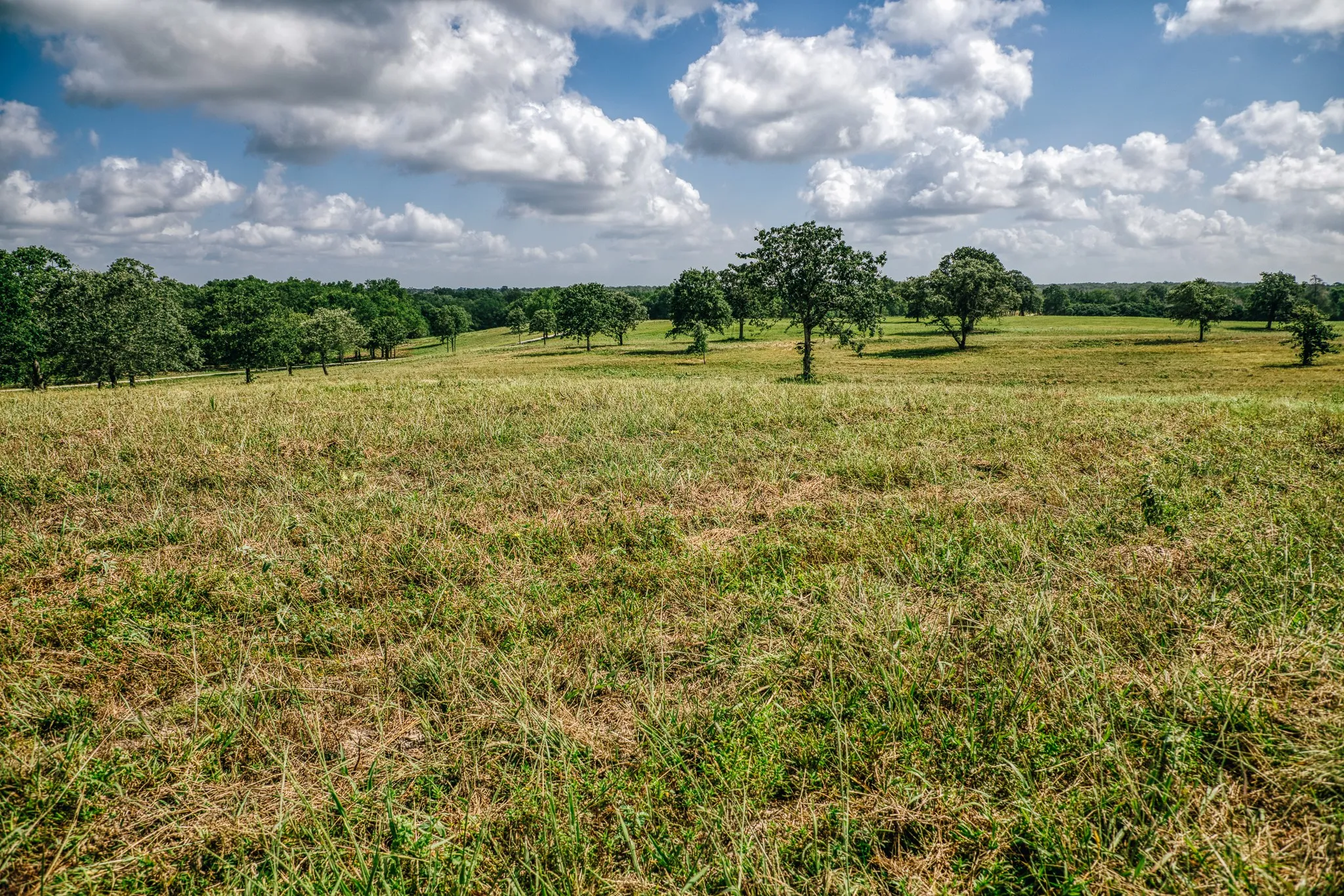 Improved Land For Sale in Limestone County , 00 FM 39, Mexia, Texas 76667, 0, 0, Garage spaces, 0 Sqft, built in 0, mls#21396239, Real Estate Agent in Mexia, Homes For Sale in Limestone county, Homes For Sale in Mexia, Realtor in Mexia Texas, Real Estate Brokerage Independent Realty Texas, Luminita Cordes Realtor