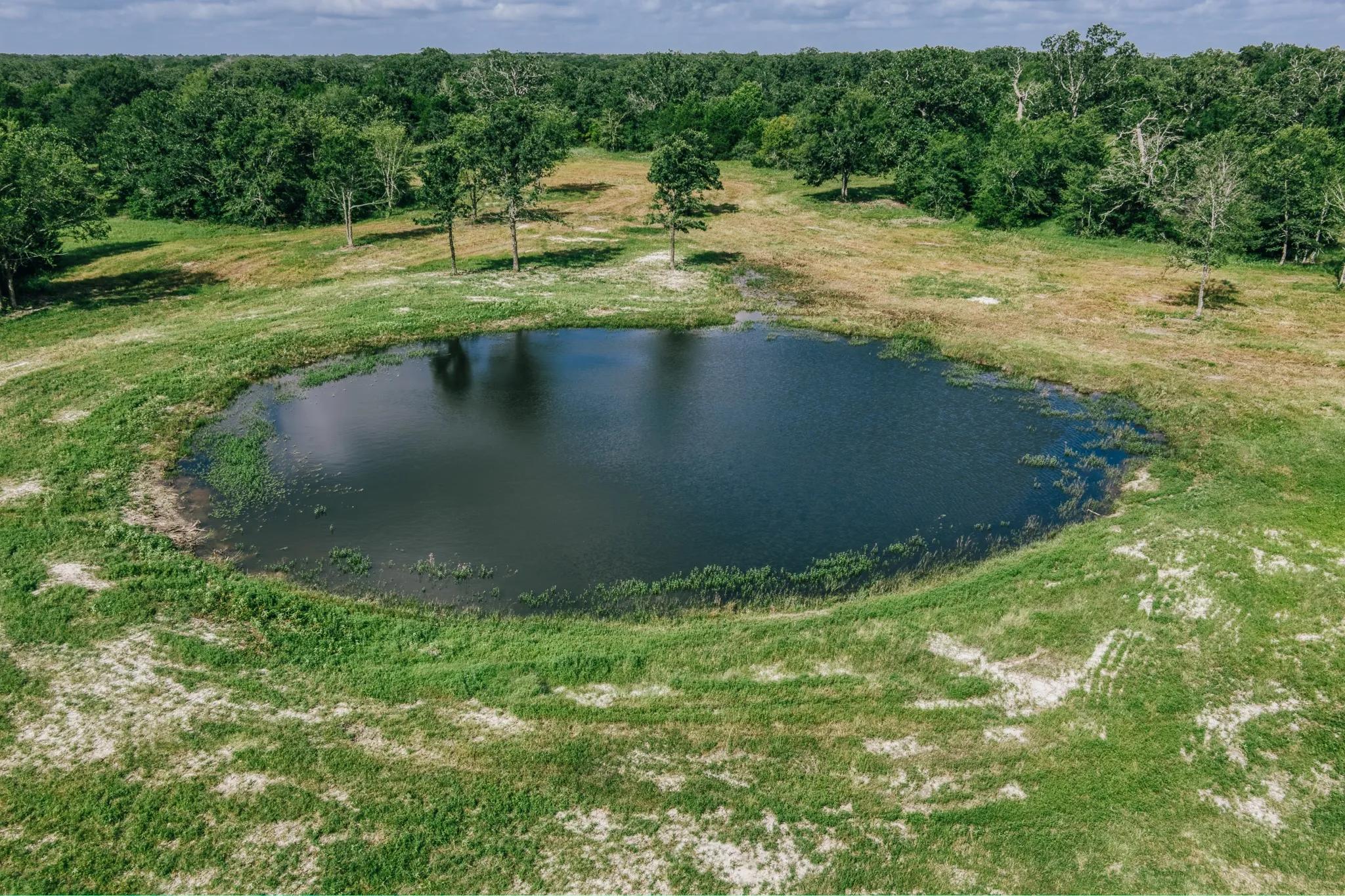 Improved Land For Sale in Limestone County , 00 FM 39, Mexia, Texas 76667, 0, 0, Garage spaces, 0 Sqft, built in 0, mls#21396239, Real Estate Agent in Mexia, Homes For Sale in Limestone county, Homes For Sale in Mexia, Realtor in Mexia Texas, Real Estate Brokerage Independent Realty Texas, Luminita Cordes Realtor
