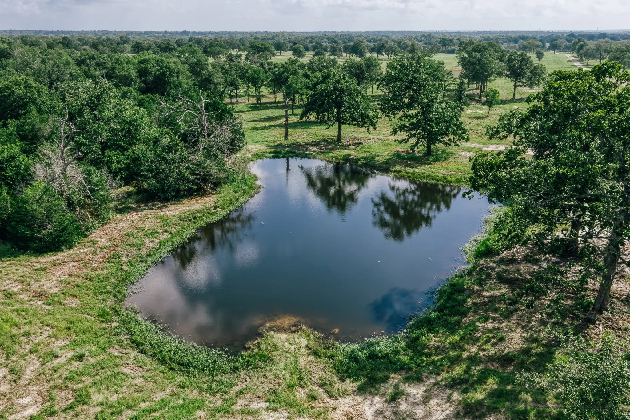 Improved Land For Sale in Limestone County , 00 FM 39, Mexia, Texas 76667, 0, 0, Garage spaces, 0 Sqft, built in 0, mls#21396239, Real Estate Agent in Mexia, Homes For Sale in Limestone county, Homes For Sale in Mexia, Realtor in Mexia Texas, Real Estate Brokerage Independent Realty Texas, Luminita Cordes Realtor