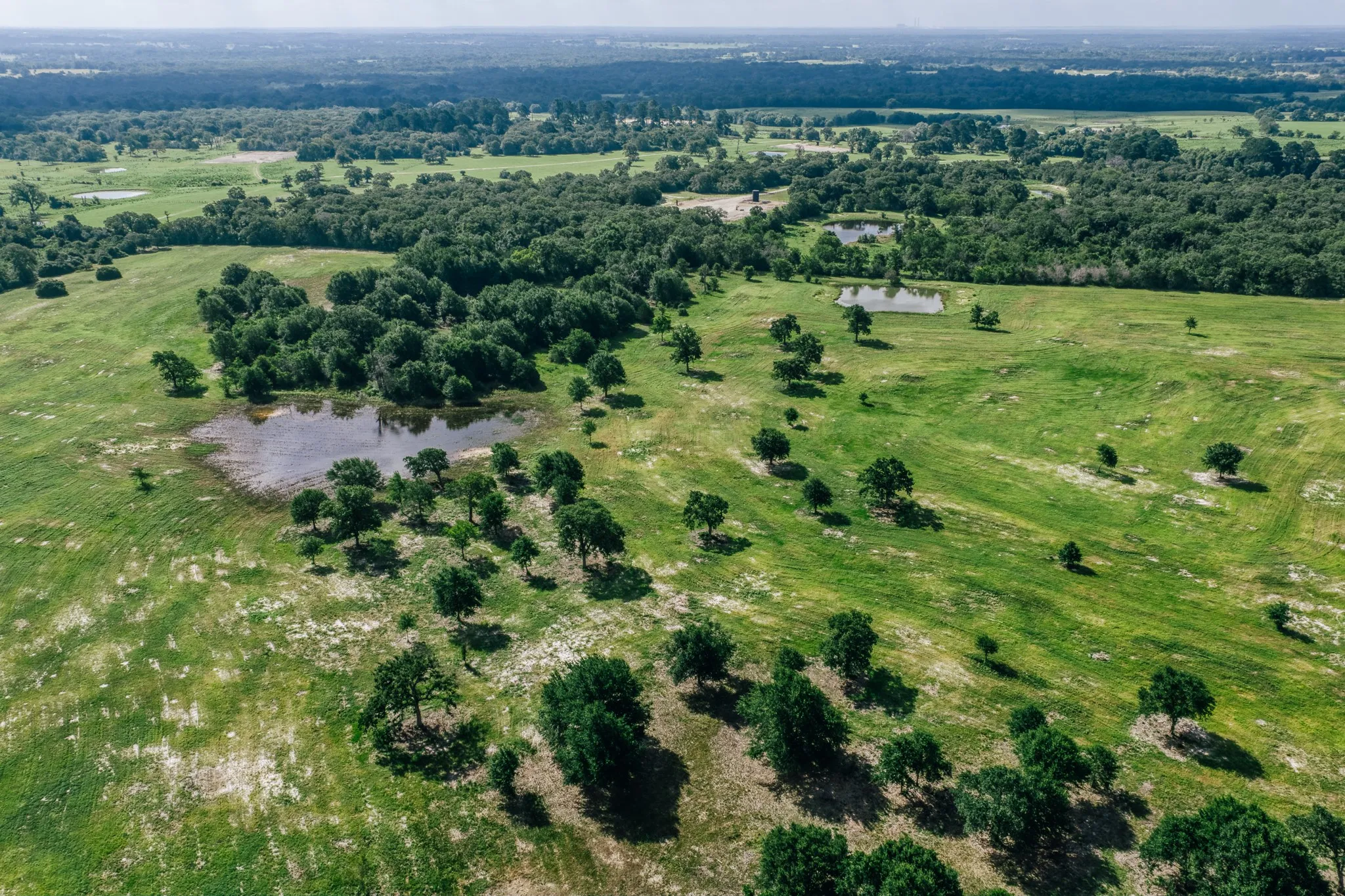 Improved Land For Sale in Limestone County , 00 FM 39, Mexia, Texas 76667, 0, 0, Garage spaces, 0 Sqft, built in 0, mls#21396239, Real Estate Agent in Mexia, Homes For Sale in Limestone county, Homes For Sale in Mexia, Realtor in Mexia Texas, Real Estate Brokerage Independent Realty Texas, Luminita Cordes Realtor