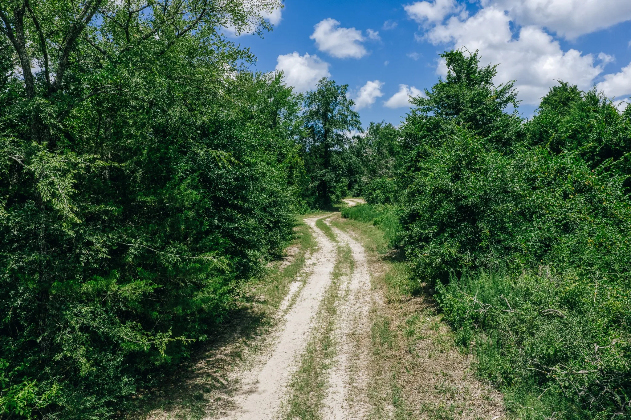Improved Land For Sale in Limestone County , 00 FM 39, Mexia, Texas 76667, 0, 0, Garage spaces, 0 Sqft, built in 0, mls#21396239, Real Estate Agent in Mexia, Homes For Sale in Limestone county, Homes For Sale in Mexia, Realtor in Mexia Texas, Real Estate Brokerage Independent Realty Texas, Luminita Cordes Realtor