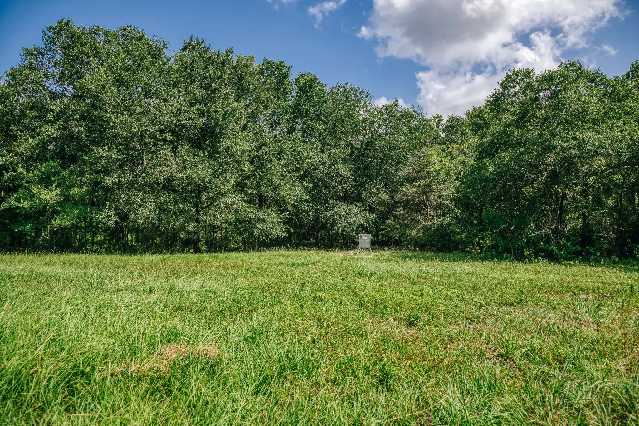 Improved Land For Sale in Limestone County , 00 FM 39, Mexia, Texas 76667, 0, 0, Garage spaces, 0 Sqft, built in 0, mls#21396239, Real Estate Agent in Mexia, Homes For Sale in Limestone county, Homes For Sale in Mexia, Realtor in Mexia Texas, Real Estate Brokerage Independent Realty Texas, Luminita Cordes Realtor