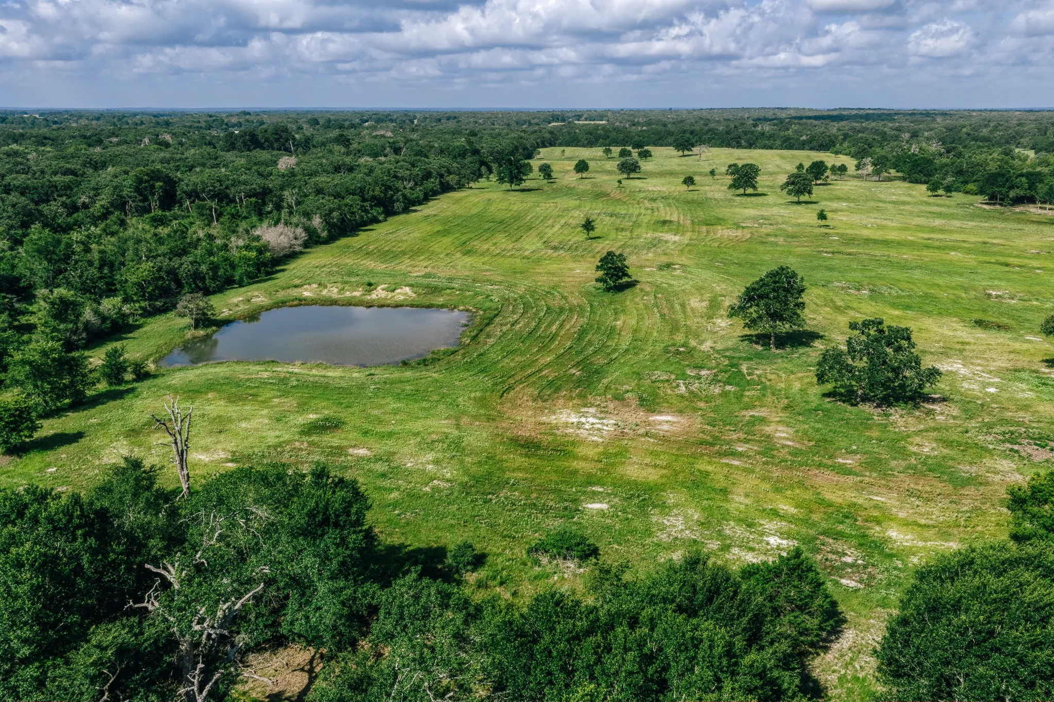 Improved Land For Sale in Limestone County , 00 FM 39, Mexia, Texas 76667, 0, 0, Garage spaces, 0 Sqft, built in 0, mls#21396239, Real Estate Agent in Mexia, Homes For Sale in Limestone county, Homes For Sale in Mexia, Realtor in Mexia Texas, Real Estate Brokerage Independent Realty Texas, Luminita Cordes Realtor