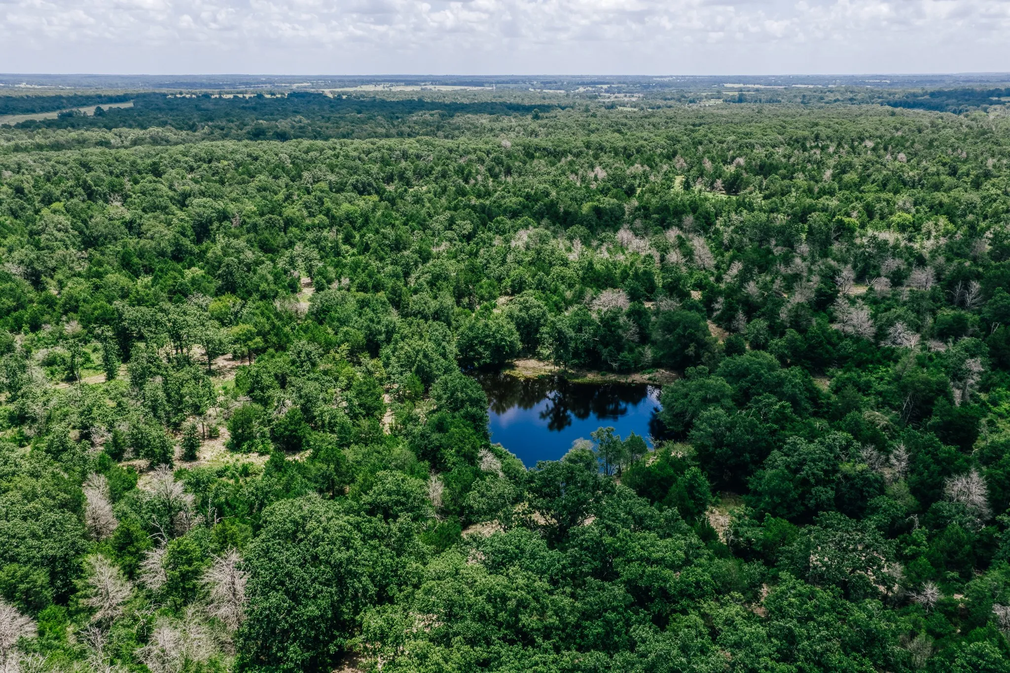 Improved Land For Sale in Limestone County , 00 FM 39, Mexia, Texas 76667, 0, 0, Garage spaces, 0 Sqft, built in 0, mls#21396239, Real Estate Agent in Mexia, Homes For Sale in Limestone county, Homes For Sale in Mexia, Realtor in Mexia Texas, Real Estate Brokerage Independent Realty Texas, Luminita Cordes Realtor