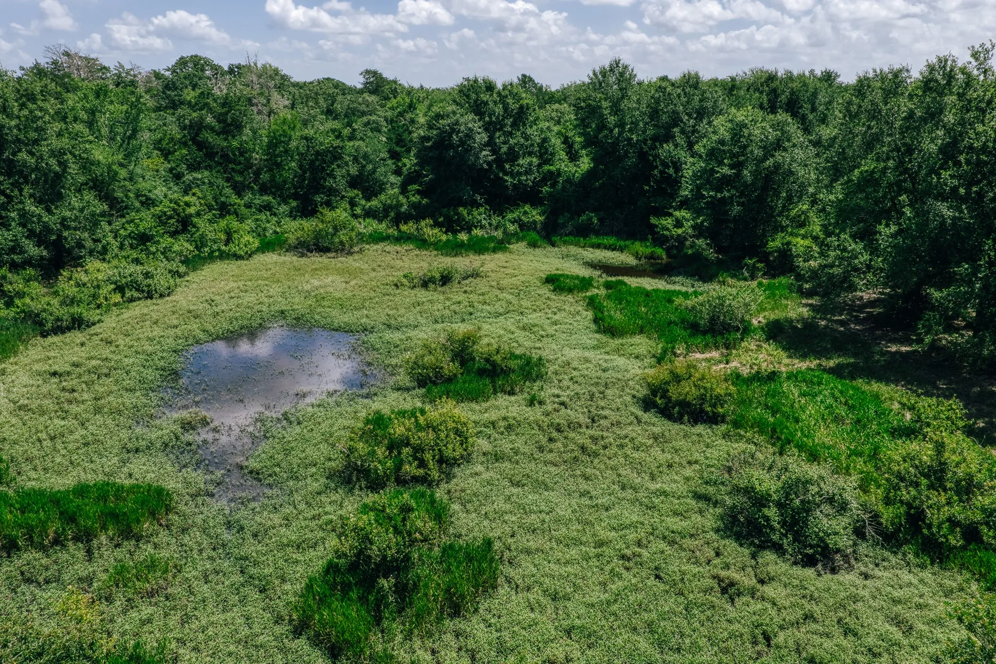 Improved Land For Sale in Limestone County , 00 FM 39, Mexia, Texas 76667, 0, 0, Garage spaces, 0 Sqft, built in 0, mls#21396239, Real Estate Agent in Mexia, Homes For Sale in Limestone county, Homes For Sale in Mexia, Realtor in Mexia Texas, Real Estate Brokerage Independent Realty Texas, Luminita Cordes Realtor