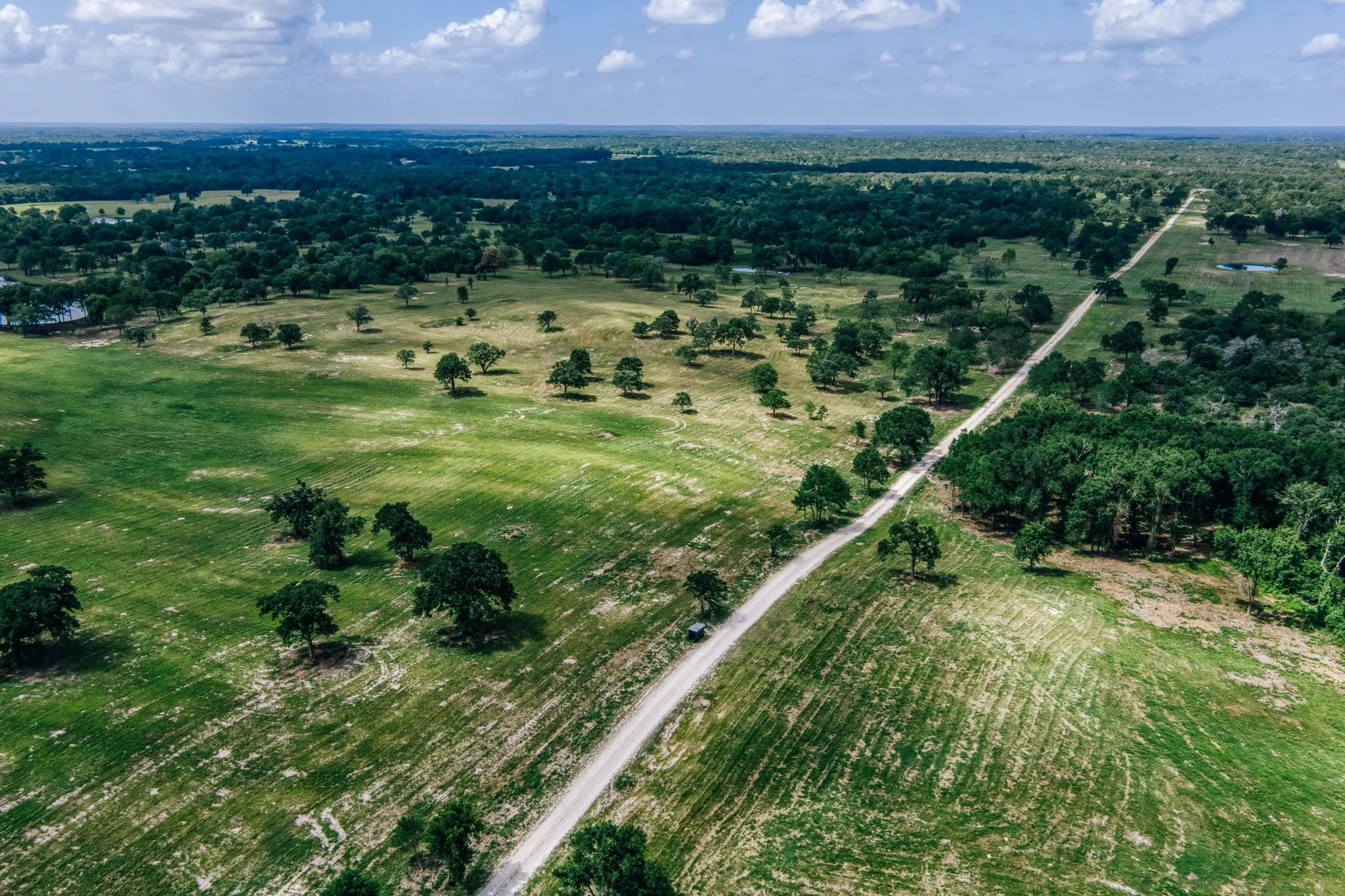 Improved Land For Sale in Limestone County , 00 FM 39, Mexia, Texas 76667, 0, 0, Garage spaces, 0 Sqft, built in 0, mls#21396239, Real Estate Agent in Mexia, Homes For Sale in Limestone county, Homes For Sale in Mexia, Realtor in Mexia Texas, Real Estate Brokerage Independent Realty Texas, Luminita Cordes Realtor