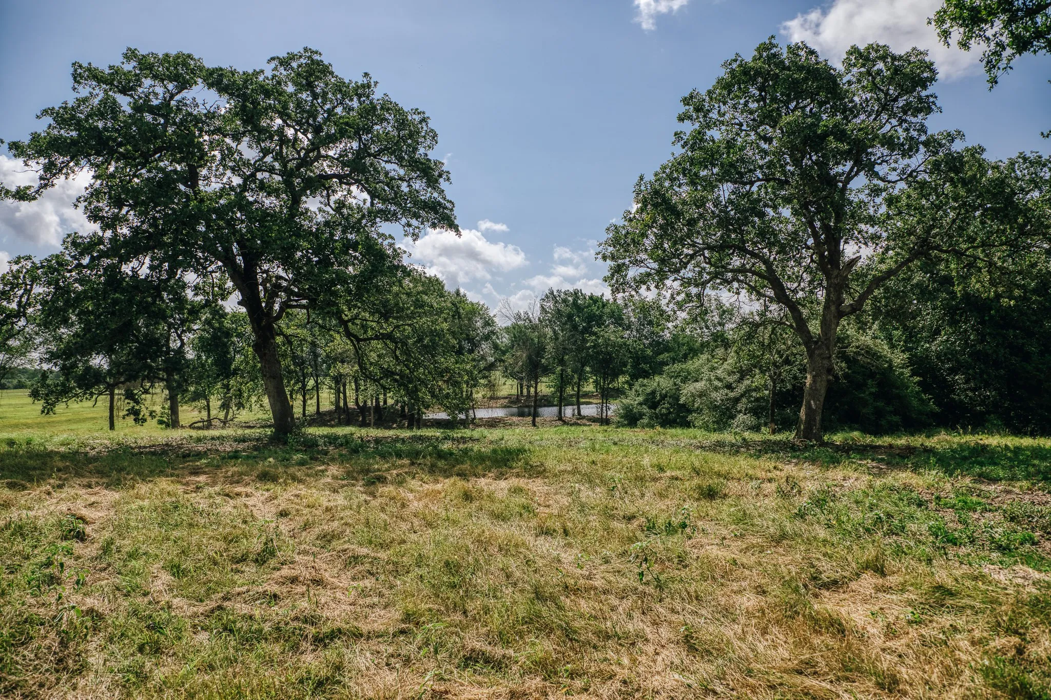 Improved Land For Sale in Limestone County , 00 FM 39, Mexia, Texas 76667, 0, 0, Garage spaces, 0 Sqft, built in 0, mls#21396239, Real Estate Agent in Mexia, Homes For Sale in Limestone county, Homes For Sale in Mexia, Realtor in Mexia Texas, Real Estate Brokerage Independent Realty Texas, Luminita Cordes Realtor