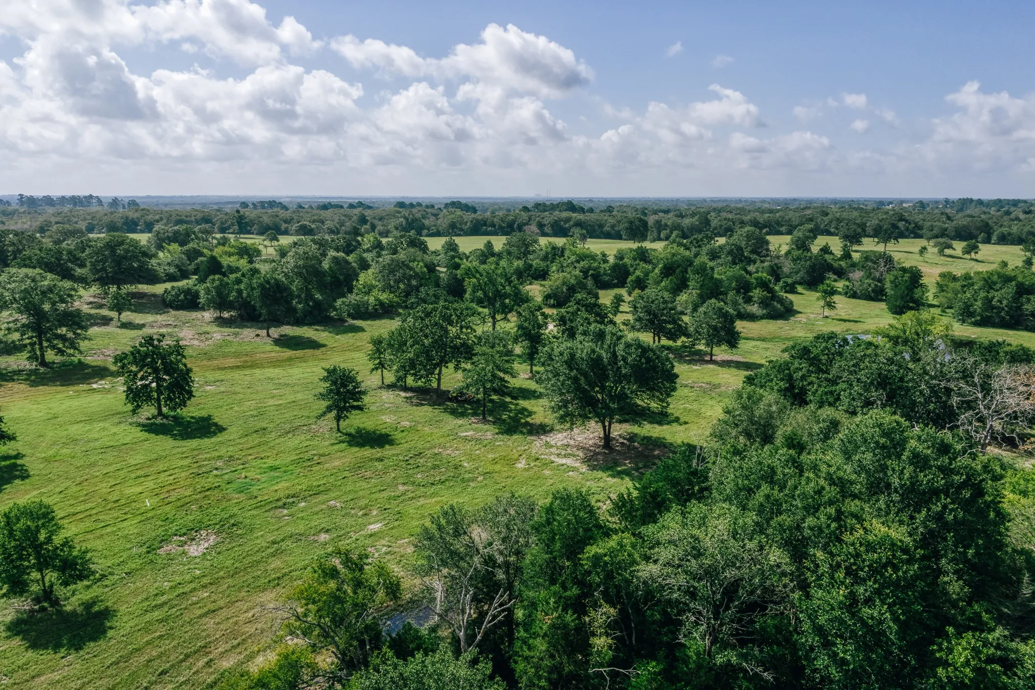 Improved Land For Sale in Limestone County , 00 FM 39, Mexia, Texas 76667, 0, 0, Garage spaces, 0 Sqft, built in 0, mls#21396239, Real Estate Agent in Mexia, Homes For Sale in Limestone county, Homes For Sale in Mexia, Realtor in Mexia Texas, Real Estate Brokerage Independent Realty Texas, Luminita Cordes Realtor