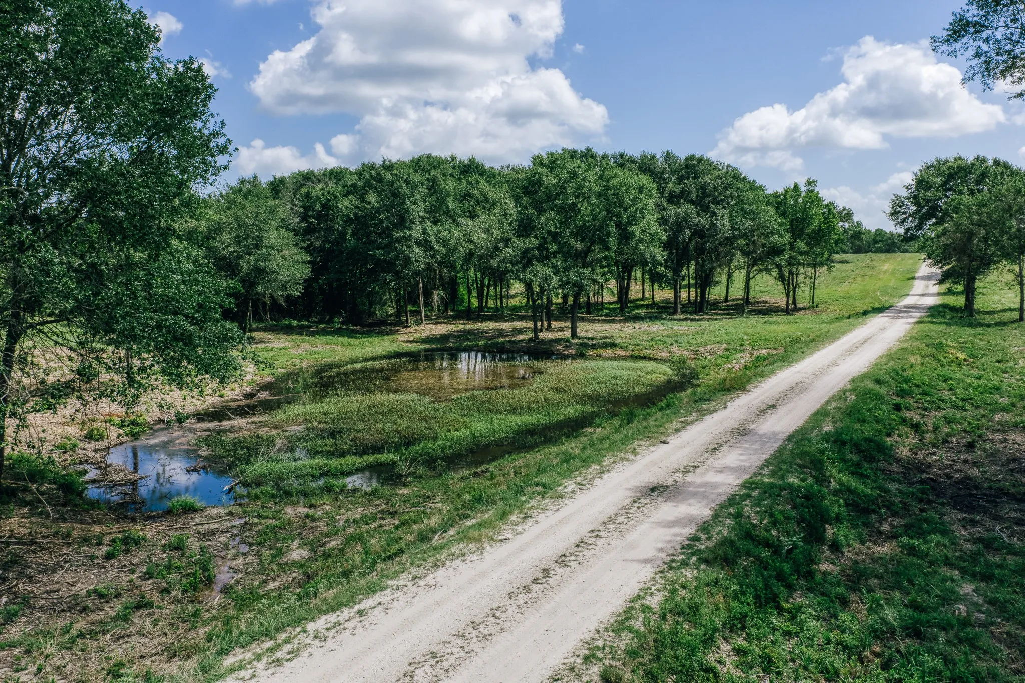 Improved Land For Sale in Limestone County , 00 FM 39, Mexia, Texas 76667, 0, 0, Garage spaces, 0 Sqft, built in 0, mls#21396239, Real Estate Agent in Mexia, Homes For Sale in Limestone county, Homes For Sale in Mexia, Realtor in Mexia Texas, Real Estate Brokerage Independent Realty Texas, Luminita Cordes Realtor