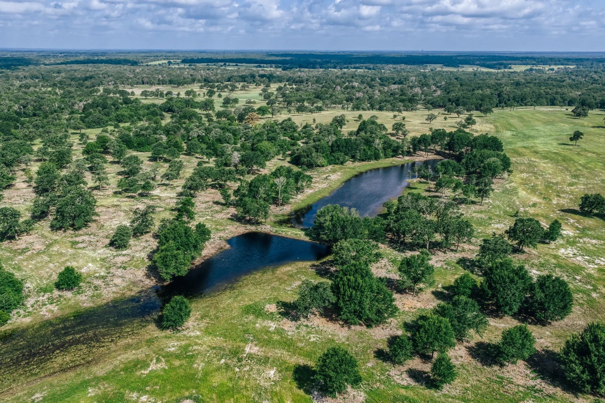 Improved Land For Sale in Limestone County , 00 FM 39, Mexia, Texas 76667, 0, 0, Garage spaces, 0 Sqft, built in 0, mls#21396239, Real Estate Agent in Mexia, Homes For Sale in Limestone county, Homes For Sale in Mexia, Realtor in Mexia Texas, Real Estate Brokerage Independent Realty Texas, Luminita Cordes Realtor