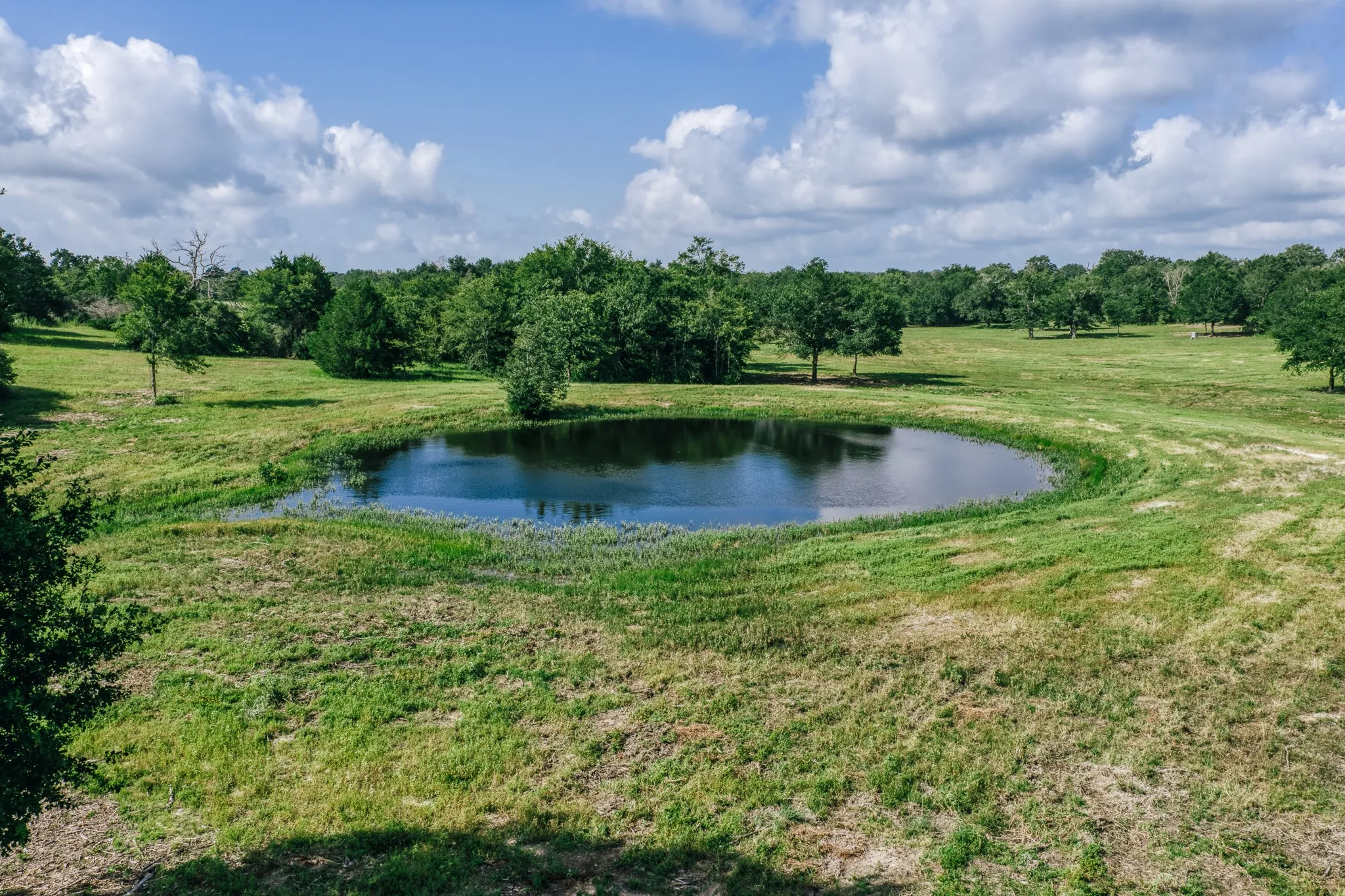 Improved Land For Sale in Limestone County , 00 FM 39, Mexia, Texas 76667, 0, 0, Garage spaces, 0 Sqft, built in 0, mls#21396239, Real Estate Agent in Mexia, Homes For Sale in Limestone county, Homes For Sale in Mexia, Realtor in Mexia Texas, Real Estate Brokerage Independent Realty Texas, Luminita Cordes Realtor