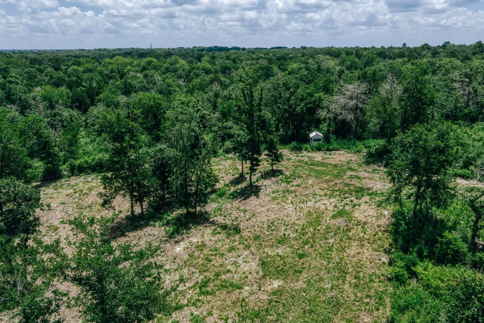 Improved Land For Sale in Limestone County , 00 FM 39, Mexia, Texas 76667, 0, 0, Garage spaces, 0 Sqft, built in 0, mls#21396239, Real Estate Agent in Mexia, Homes For Sale in Limestone county, Homes For Sale in Mexia, Realtor in Mexia Texas, Real Estate Brokerage Independent Realty Texas, Luminita Cordes Realtor